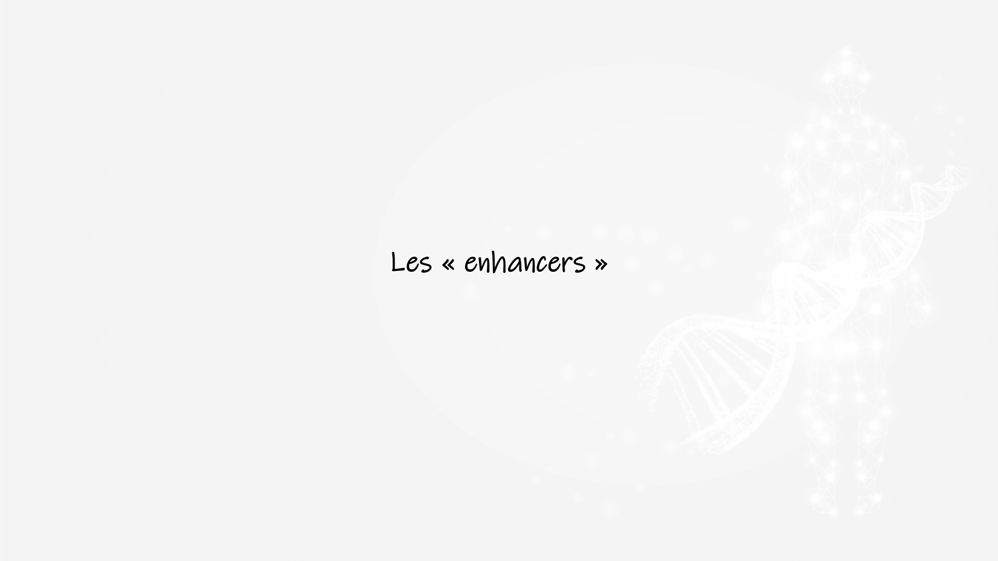 De l'ADN à la protéine — répétitoire page 30