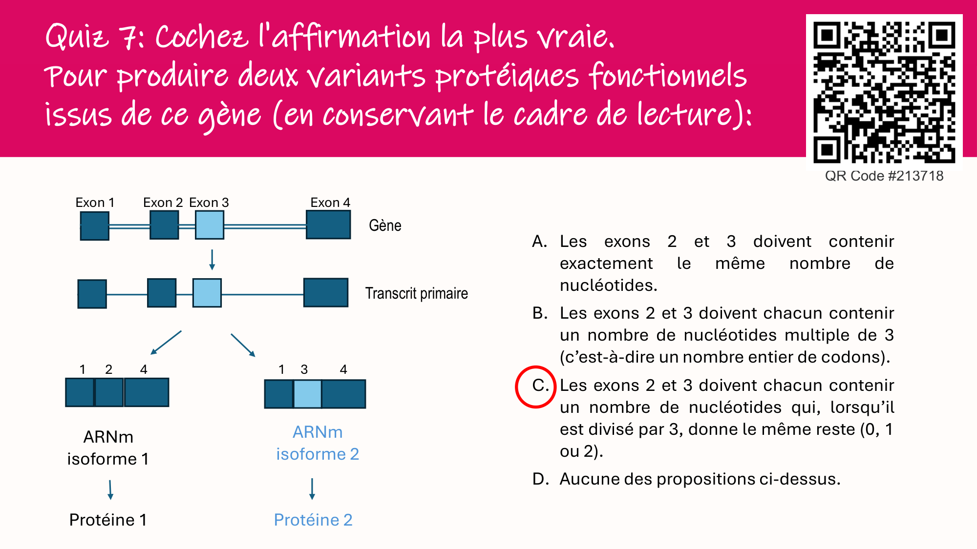 De l'ADN à la protéine — répétitoire page 33