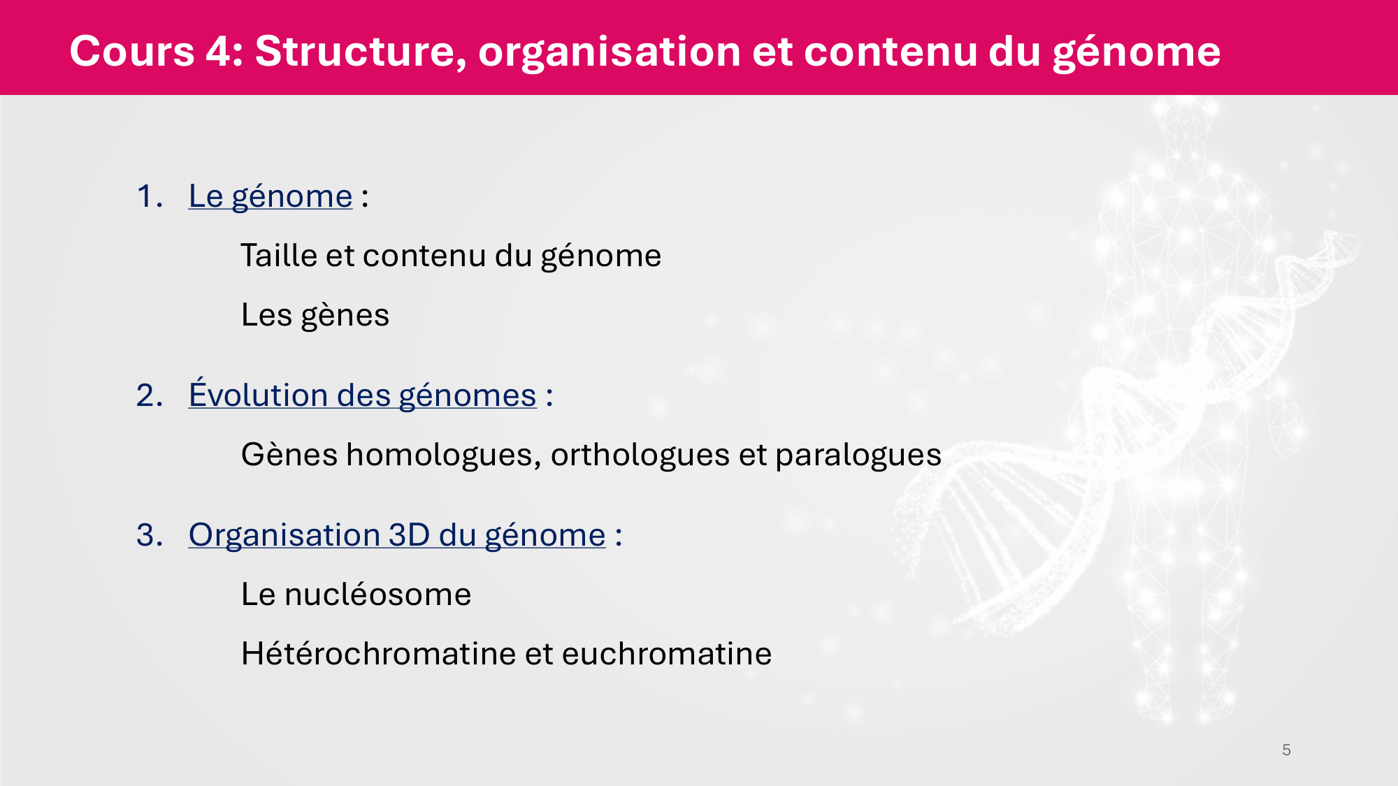 Cours 4 — Génome et chromatine page 5