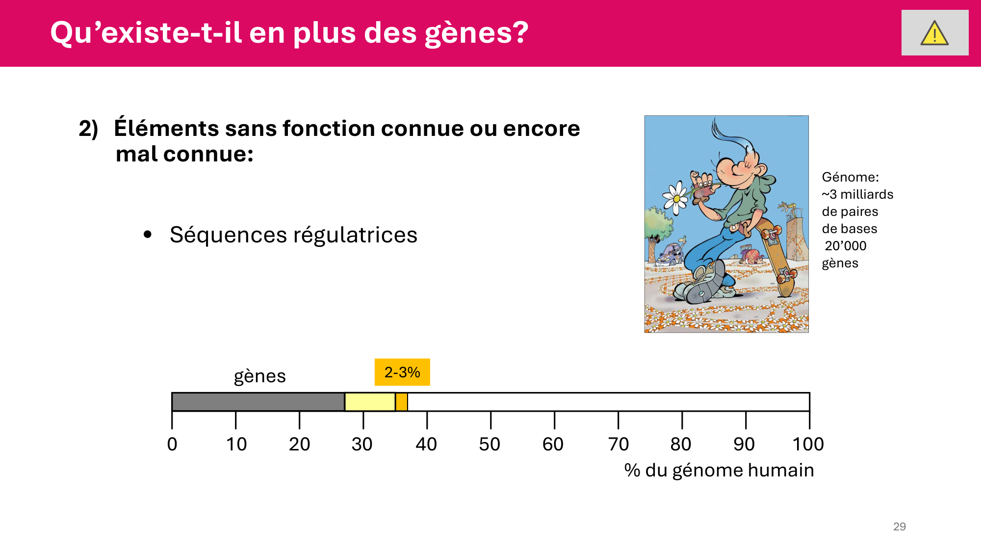 Cours 4 — Génome et chromatine page 29