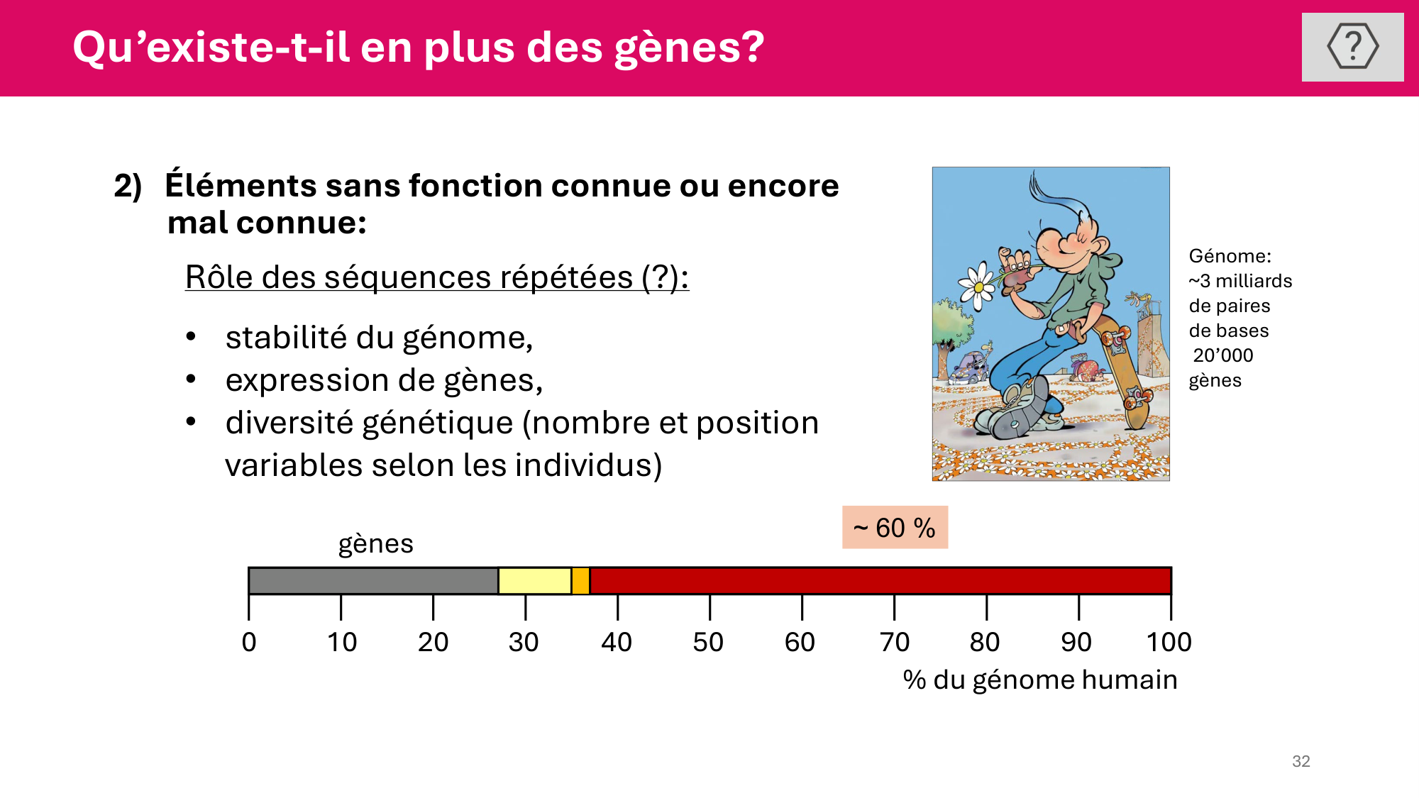 Cours 4 — Génome et chromatine page 32