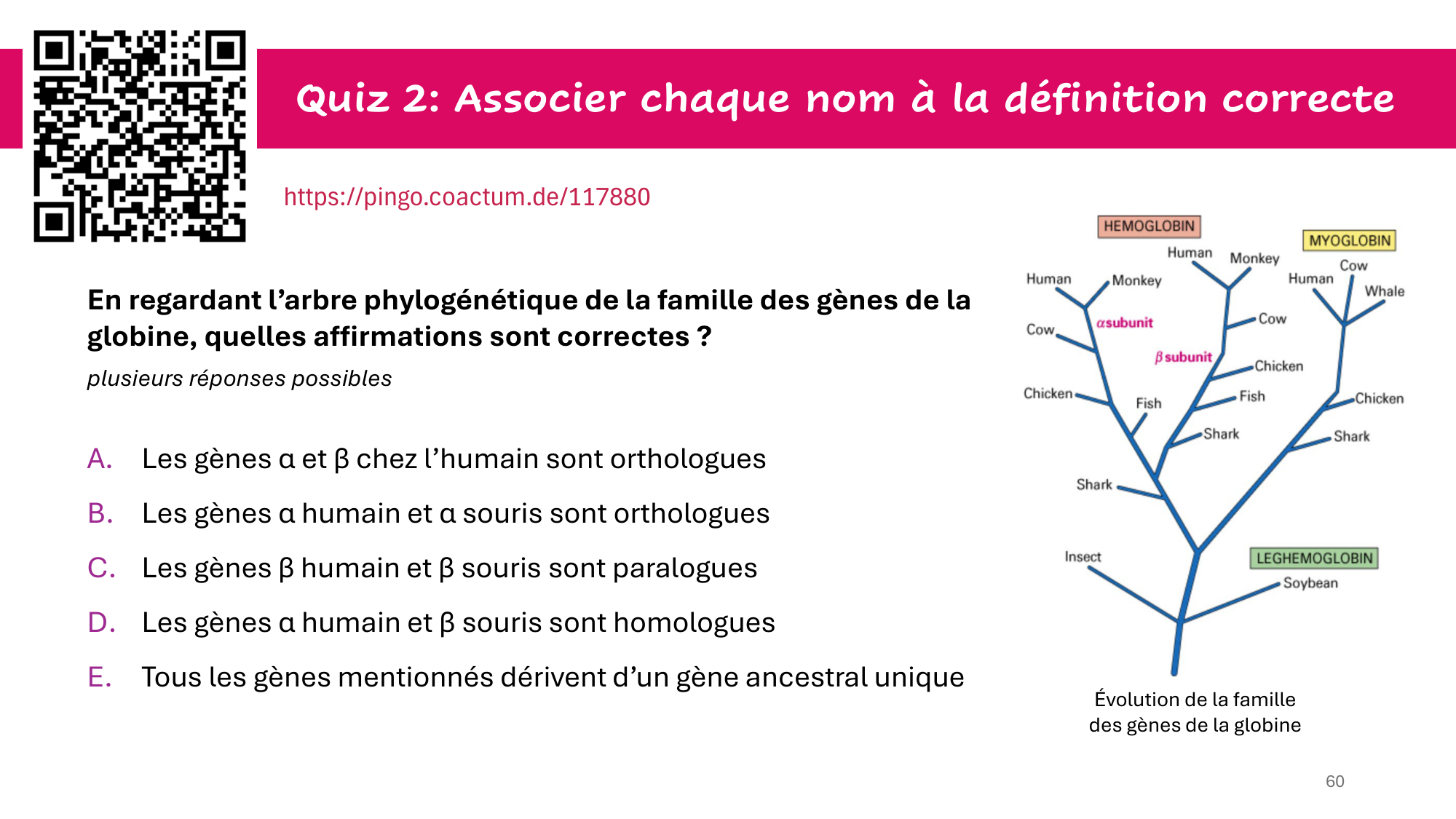 Cours 4 — Génome et chromatine page 60