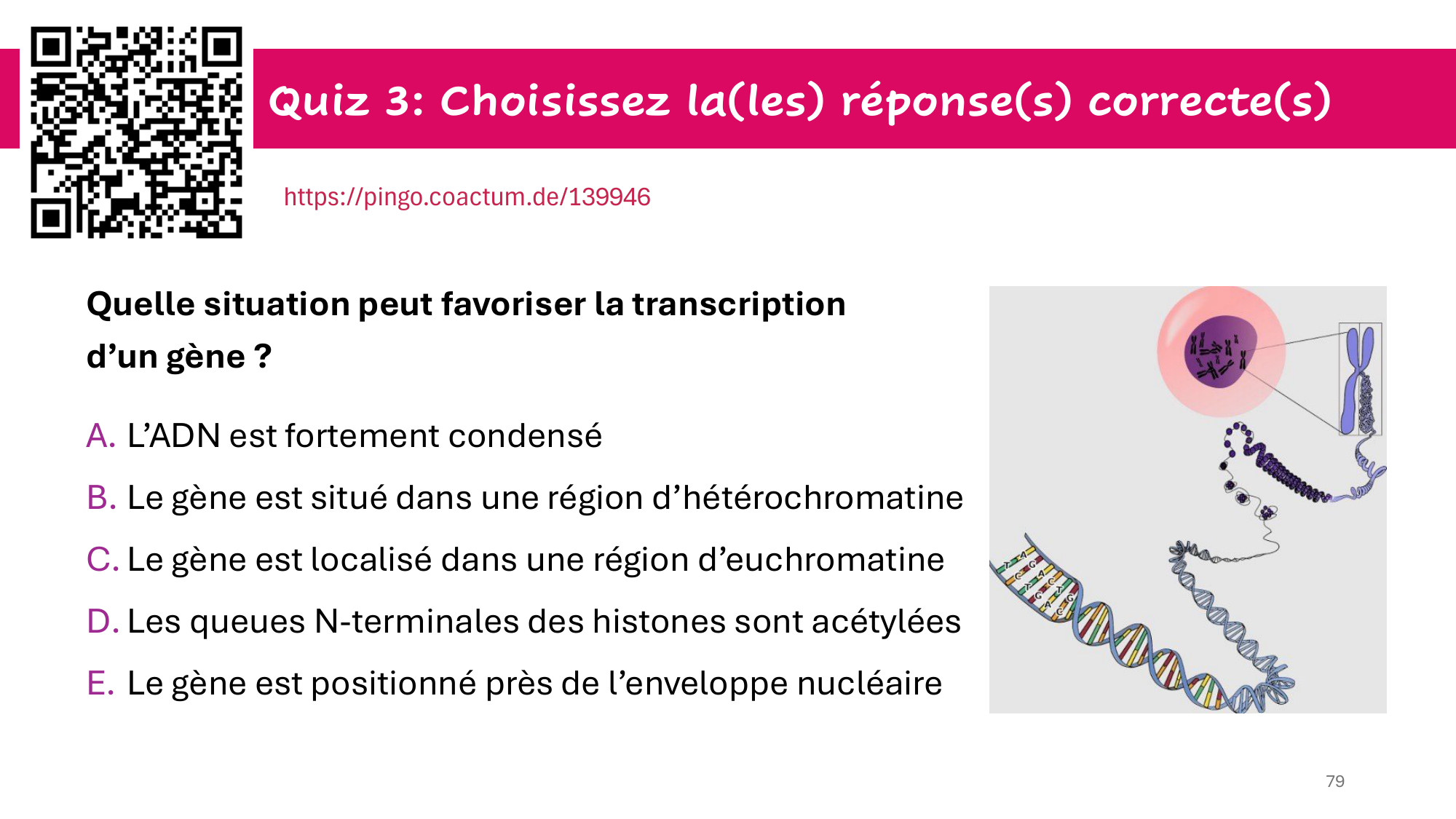 Cours 4 — Génome et chromatine page 79