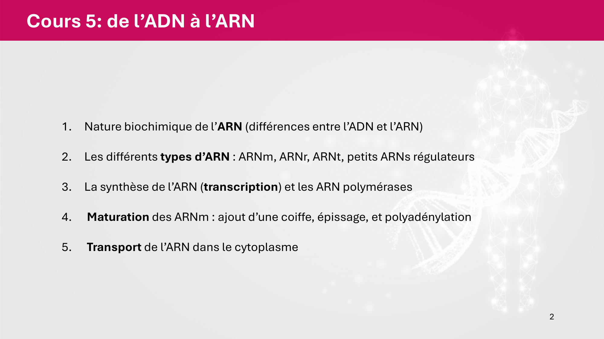 Cours 5 — ARN et transcription page 2