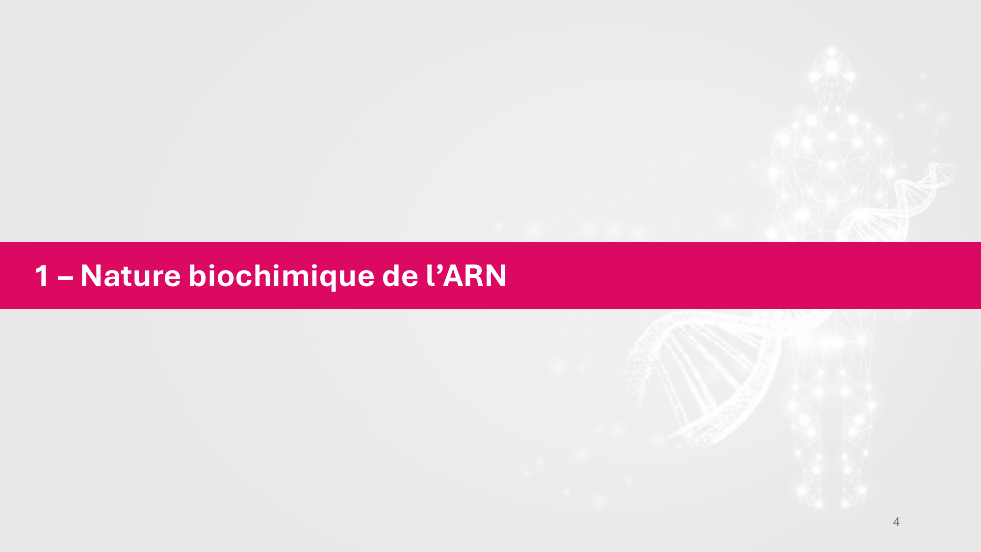 Cours 5 — ARN et transcription page 4