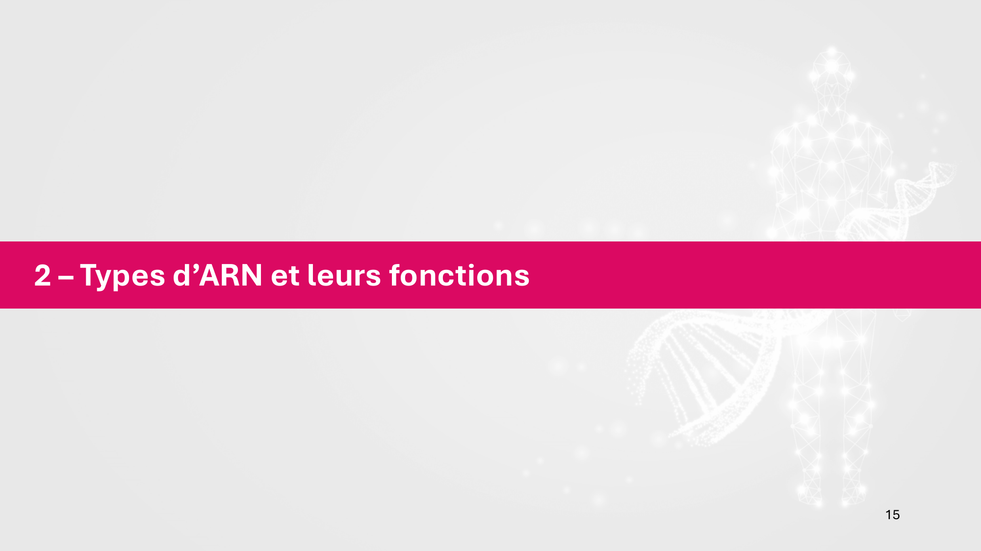 Cours 5 — ARN et transcription page 15
