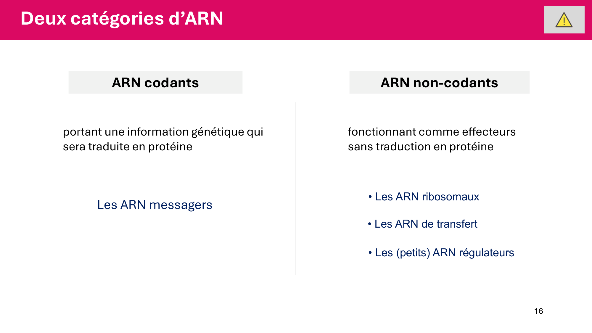 Cours 5 — ARN et transcription page 16