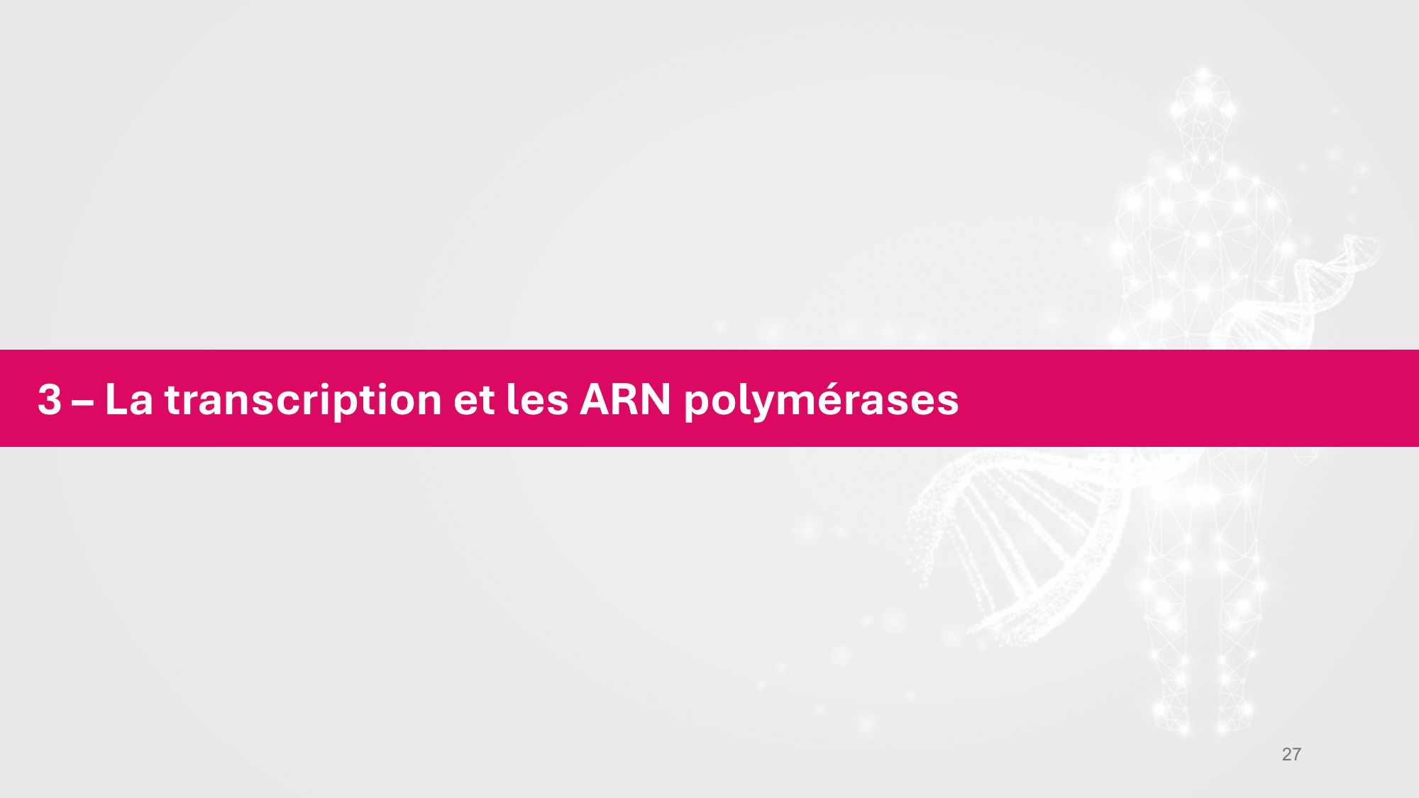 Cours 5 — ARN et transcription page 27