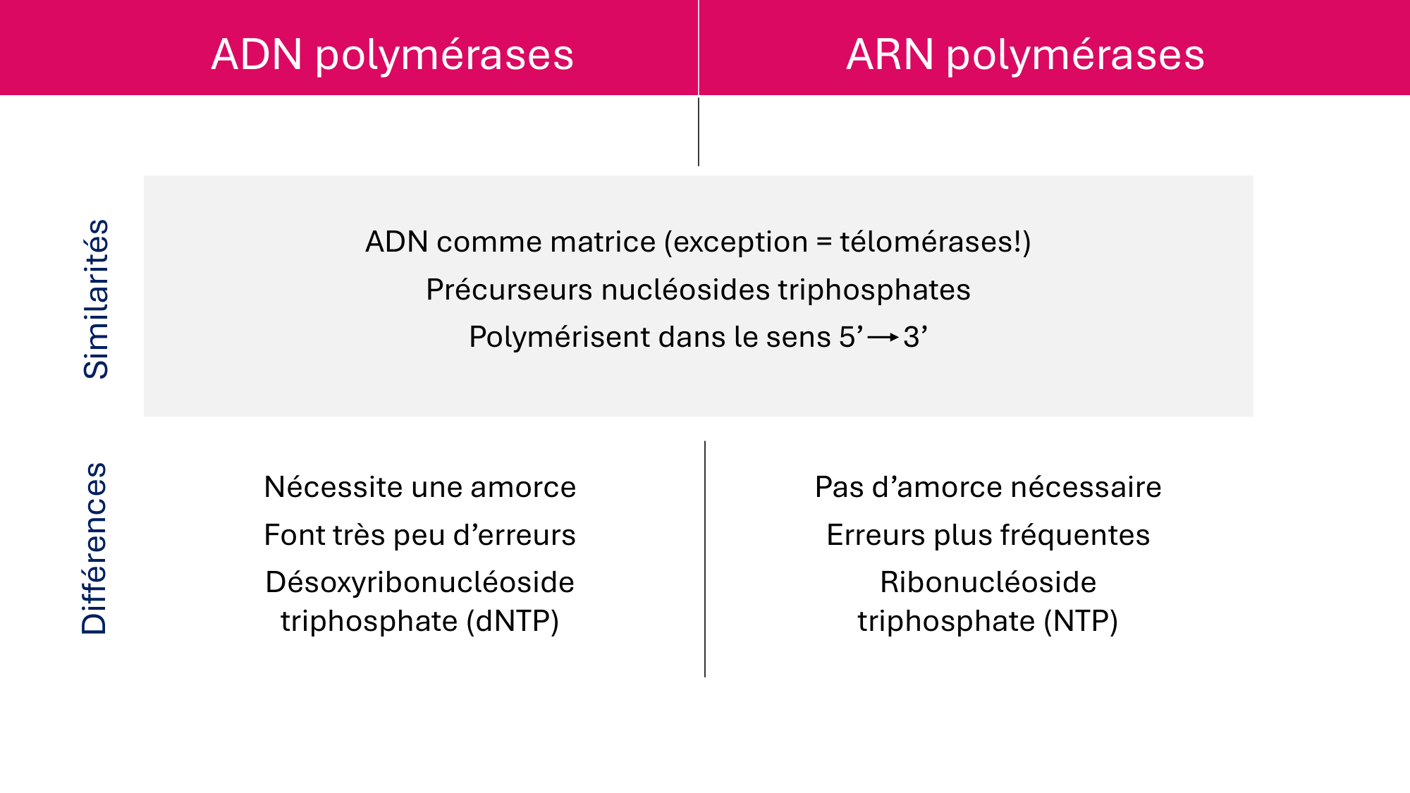 Cours 5 — ARN et transcription page 43