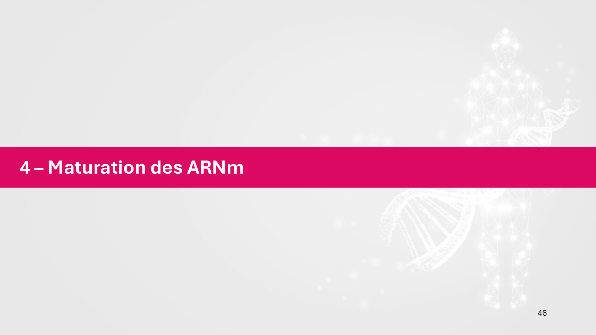 Cours 5 — ARN et transcription page 46