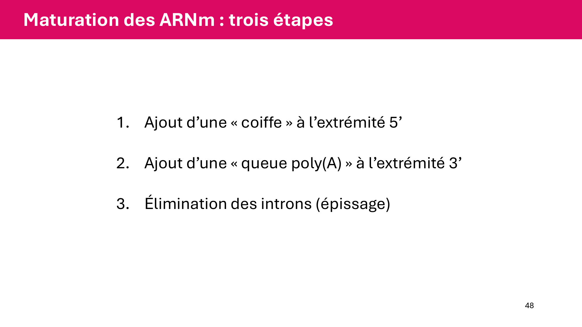 Cours 5 — ARN et transcription page 48