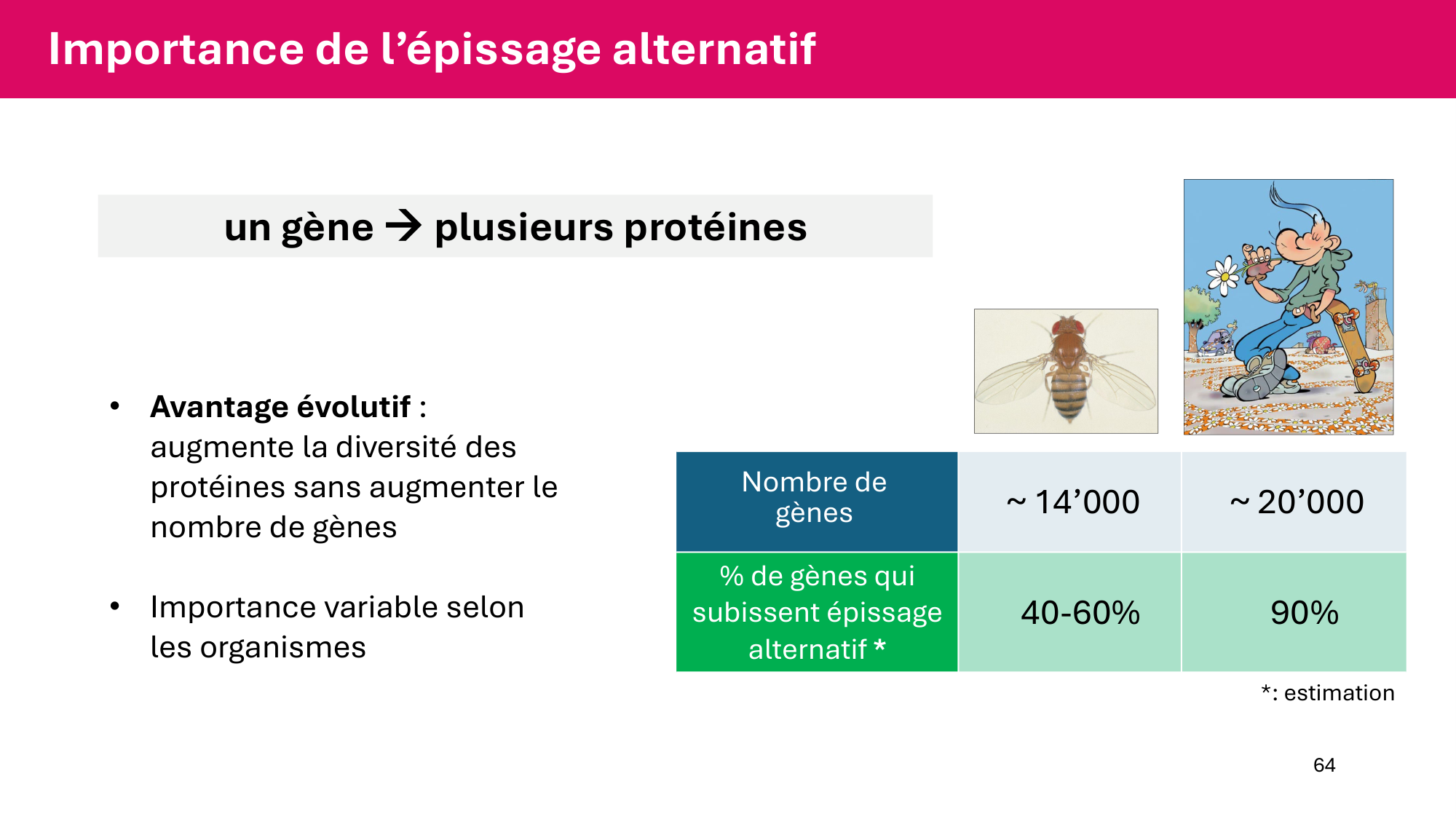 Cours 5 — ARN et transcription page 64