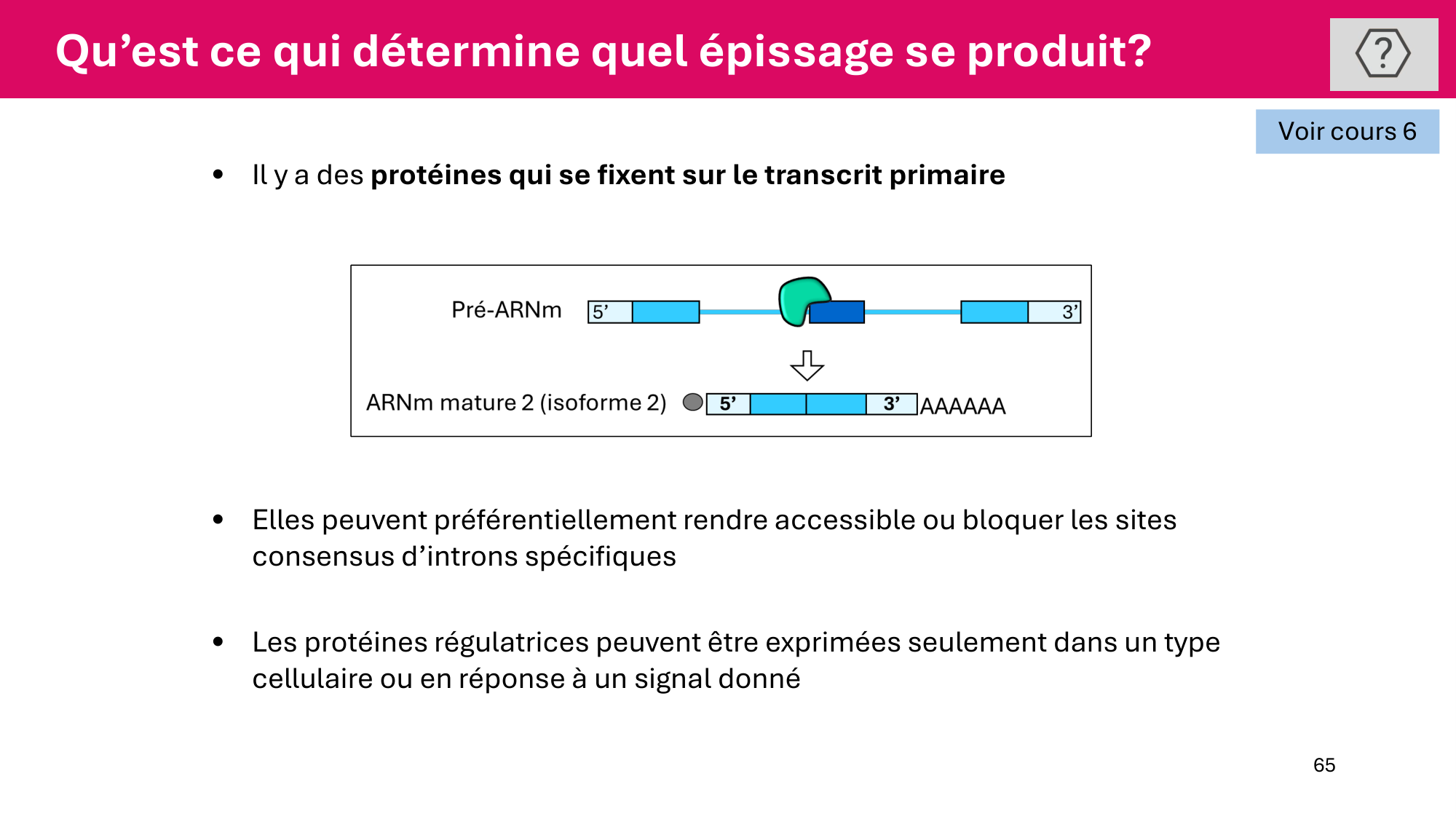 Cours 5 — ARN et transcription page 65