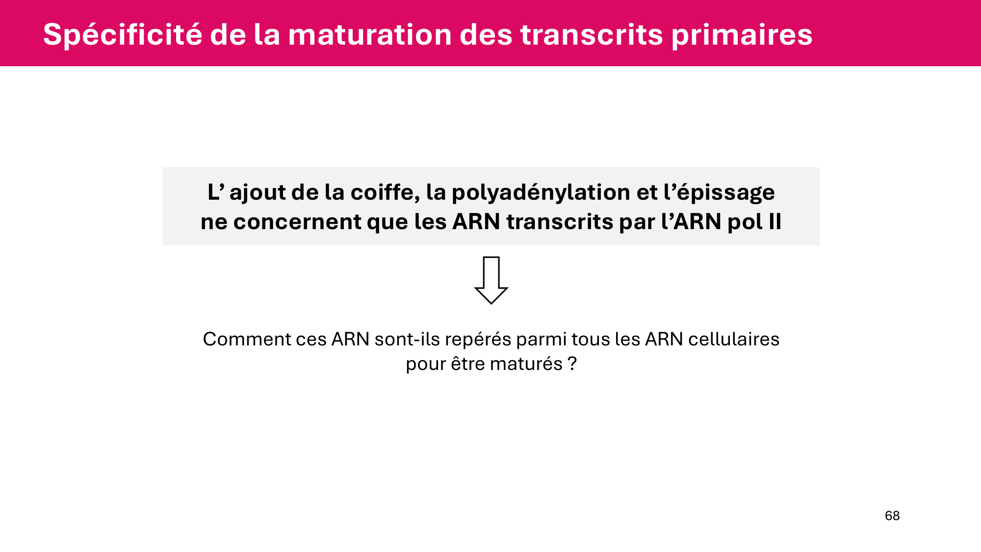 Cours 5 — ARN et transcription page 68