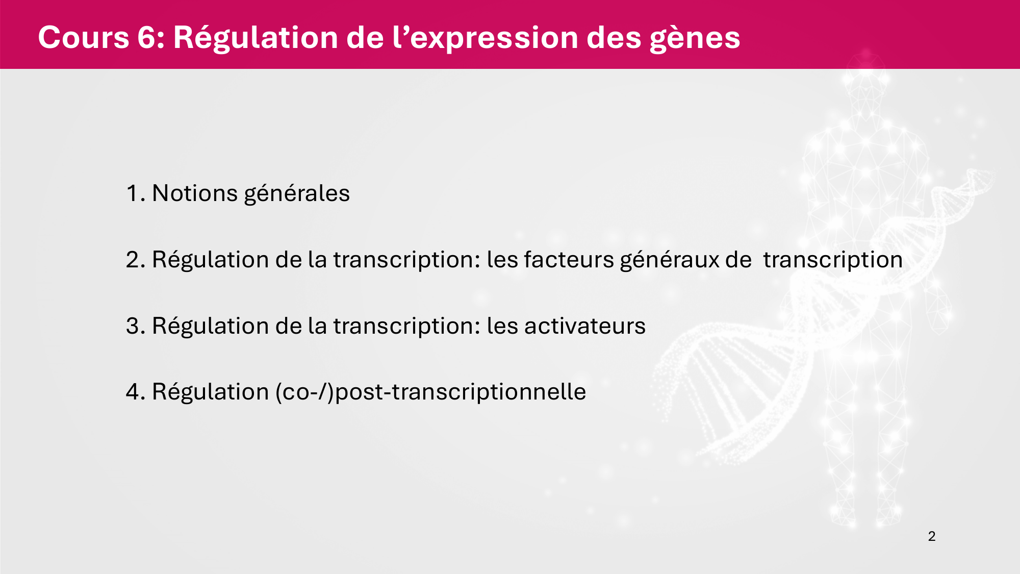 Cours 6 — Régulation de l’expression génique page 2