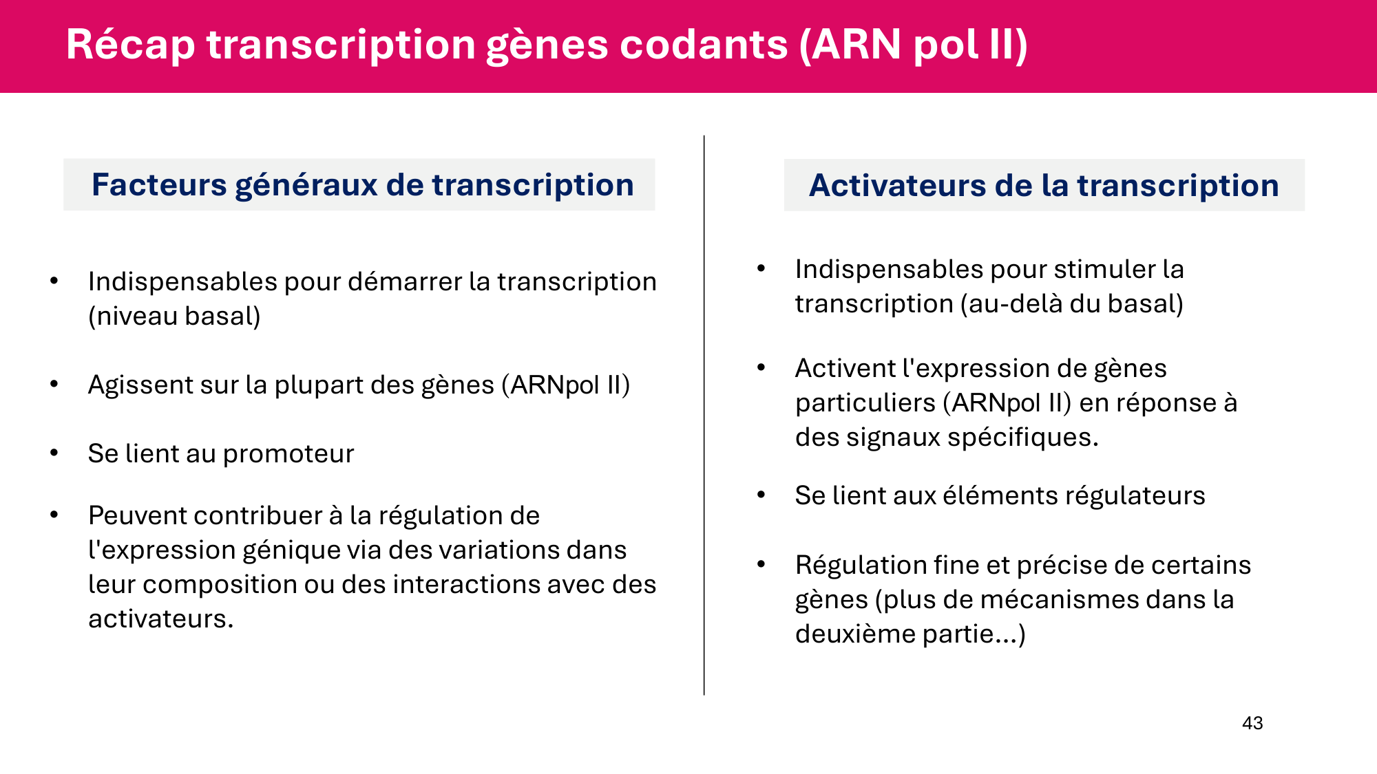 Cours 6 — Régulation de l’expression génique page 43