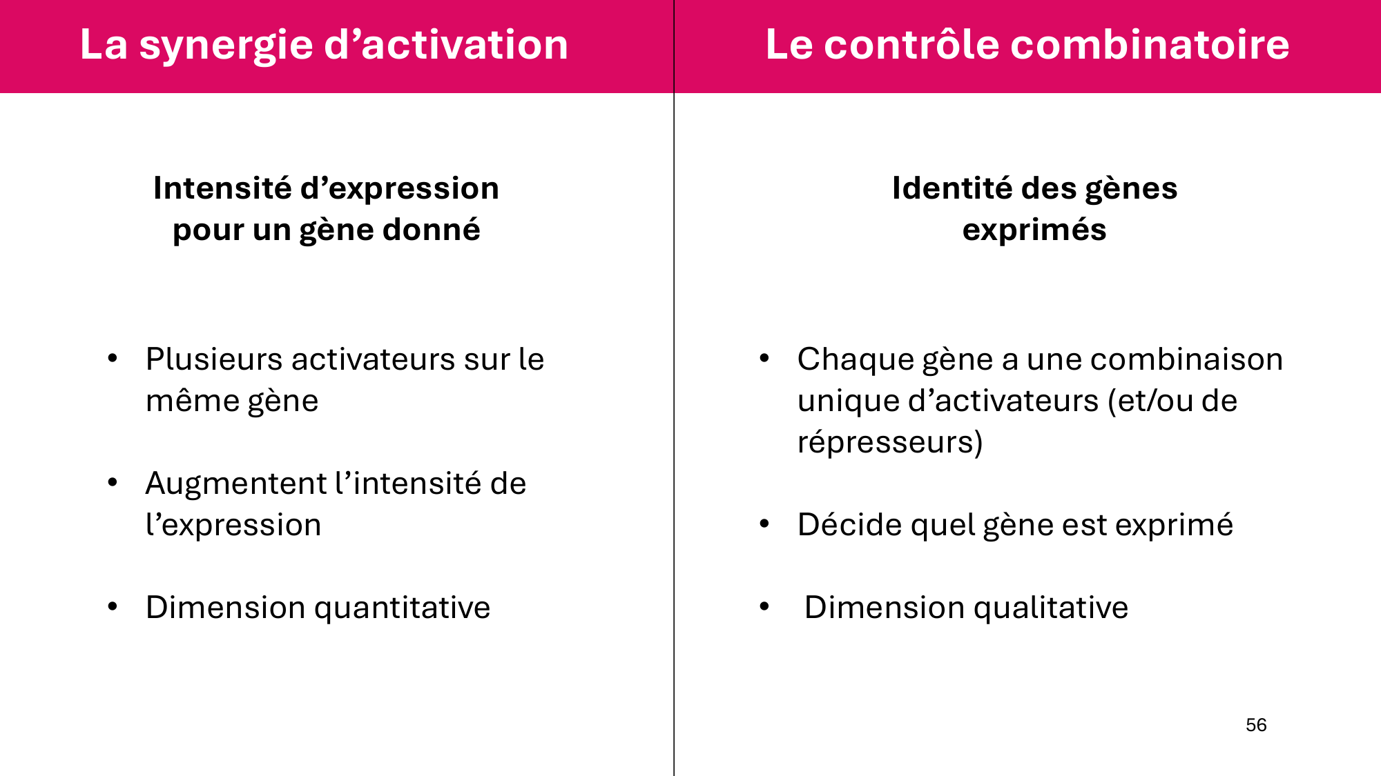 Cours 6 — Régulation de l’expression génique page 56