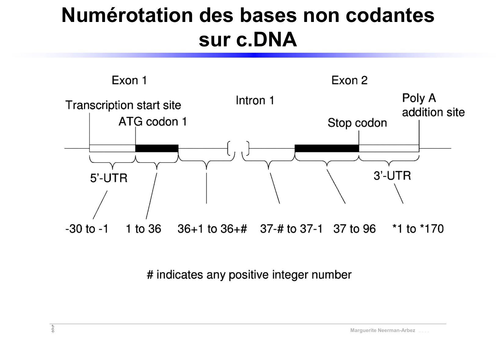 Vignettes de TD · corrections page 2