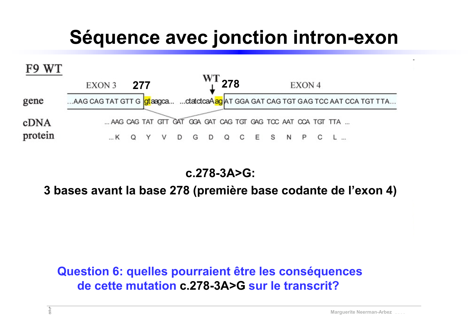 Vignettes de TD · corrections page 6
