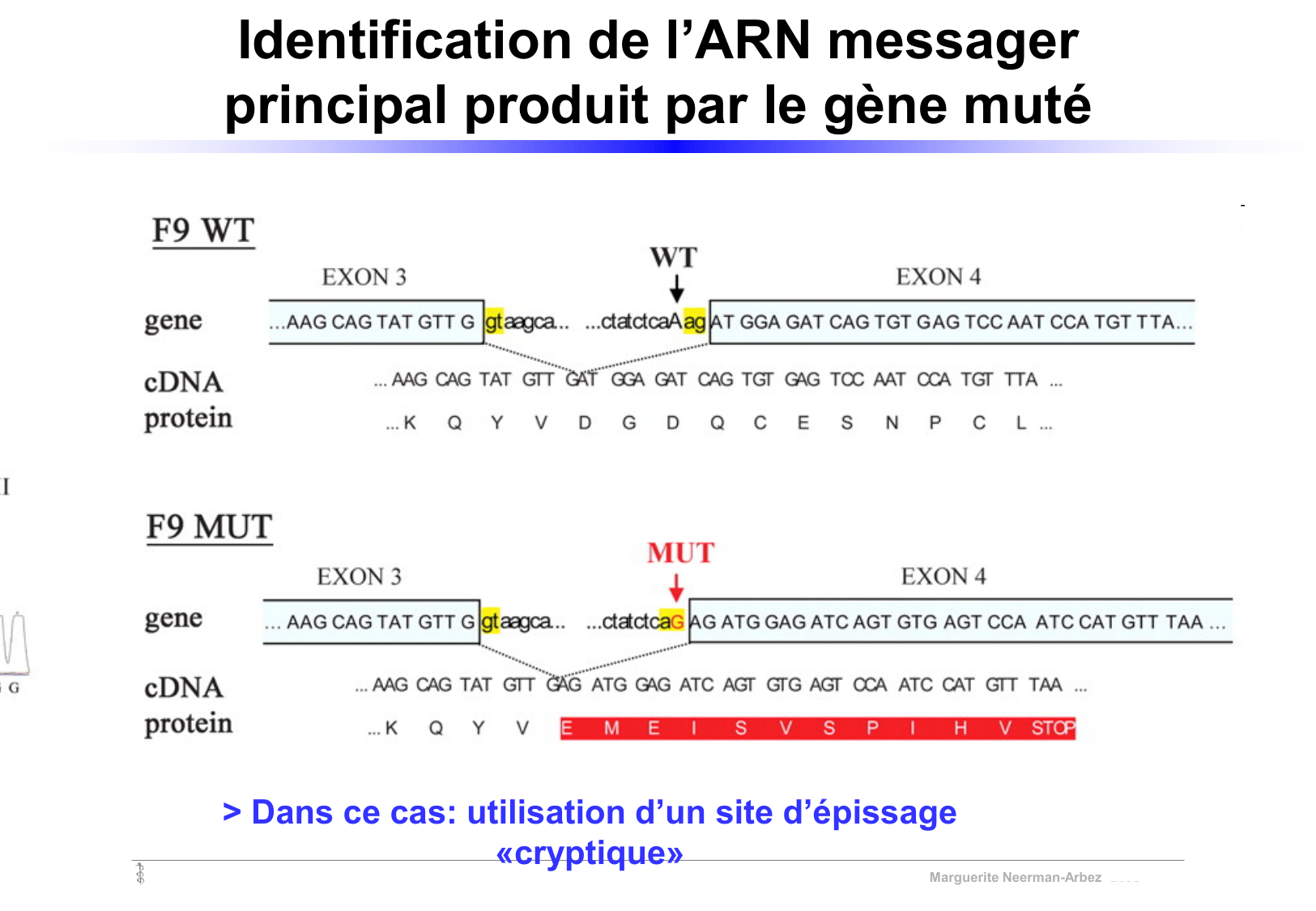 Vignettes de TD · corrections page 7