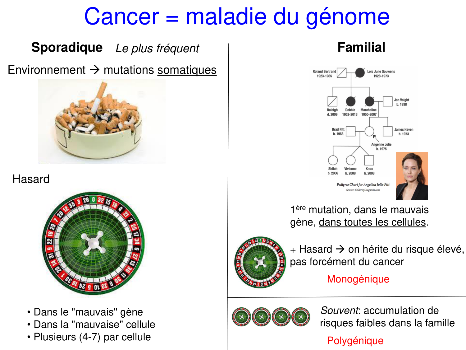 Oncogénétique page 2