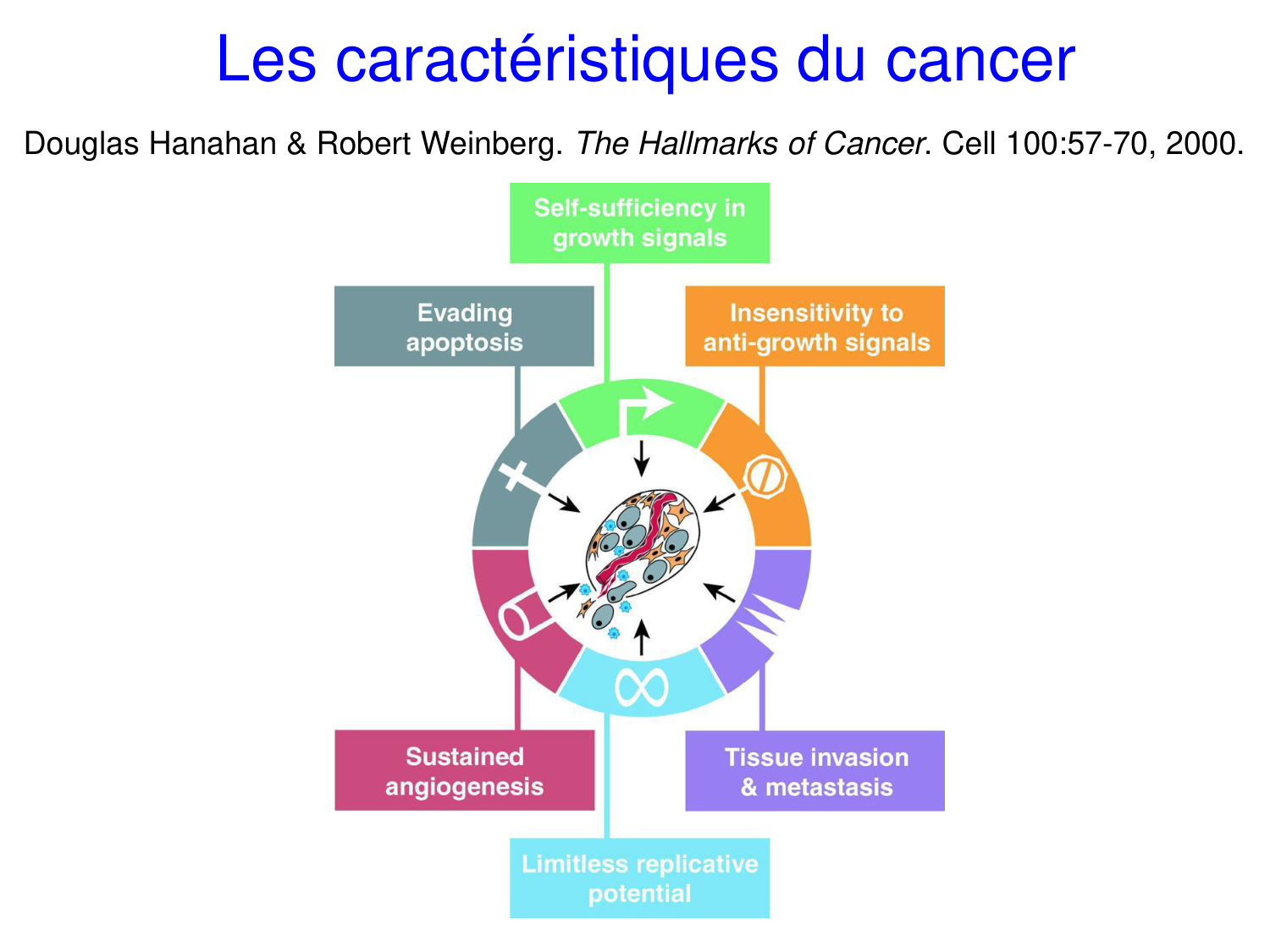 Oncogénétique page 4