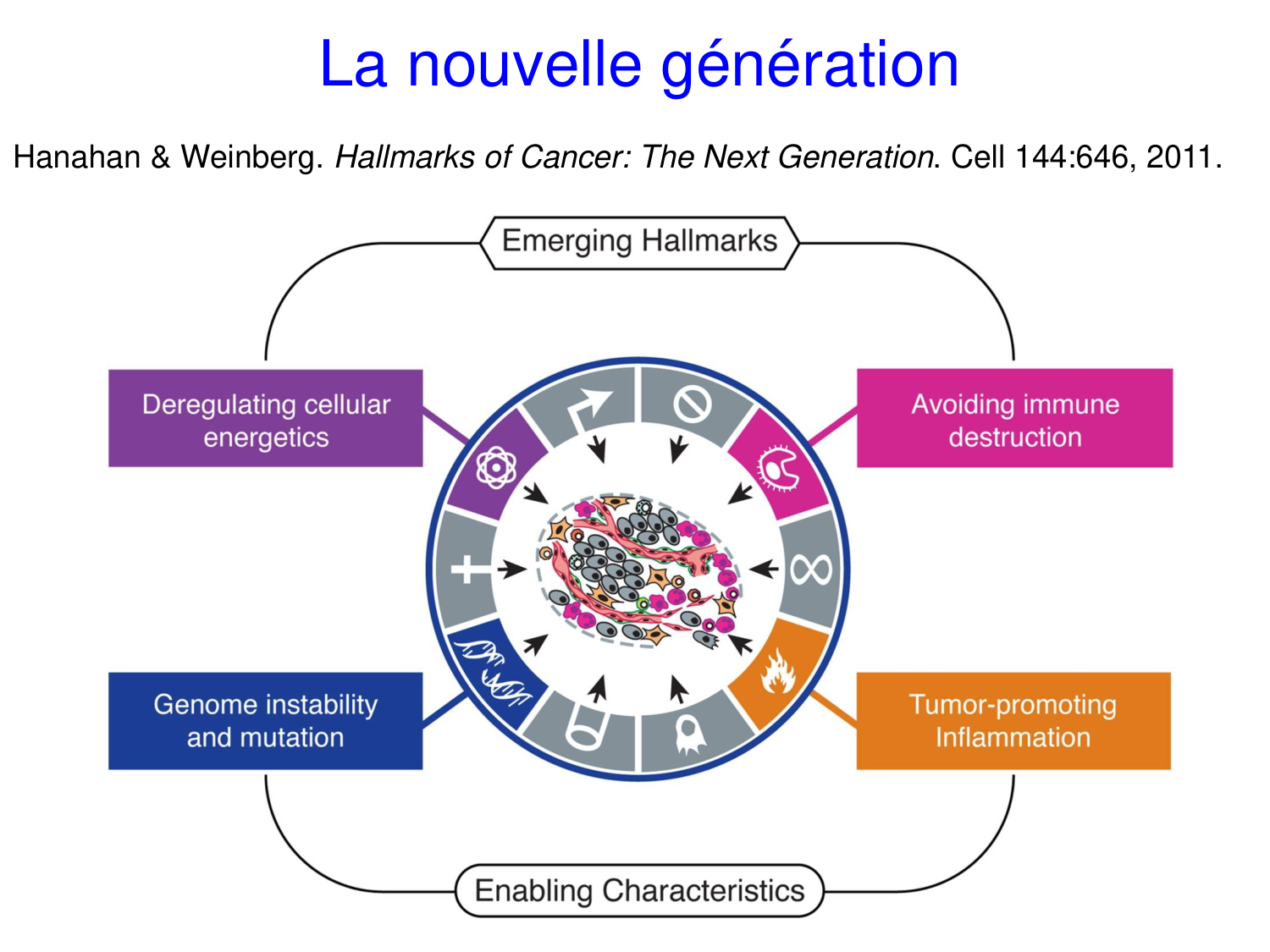 Oncogénétique page 5