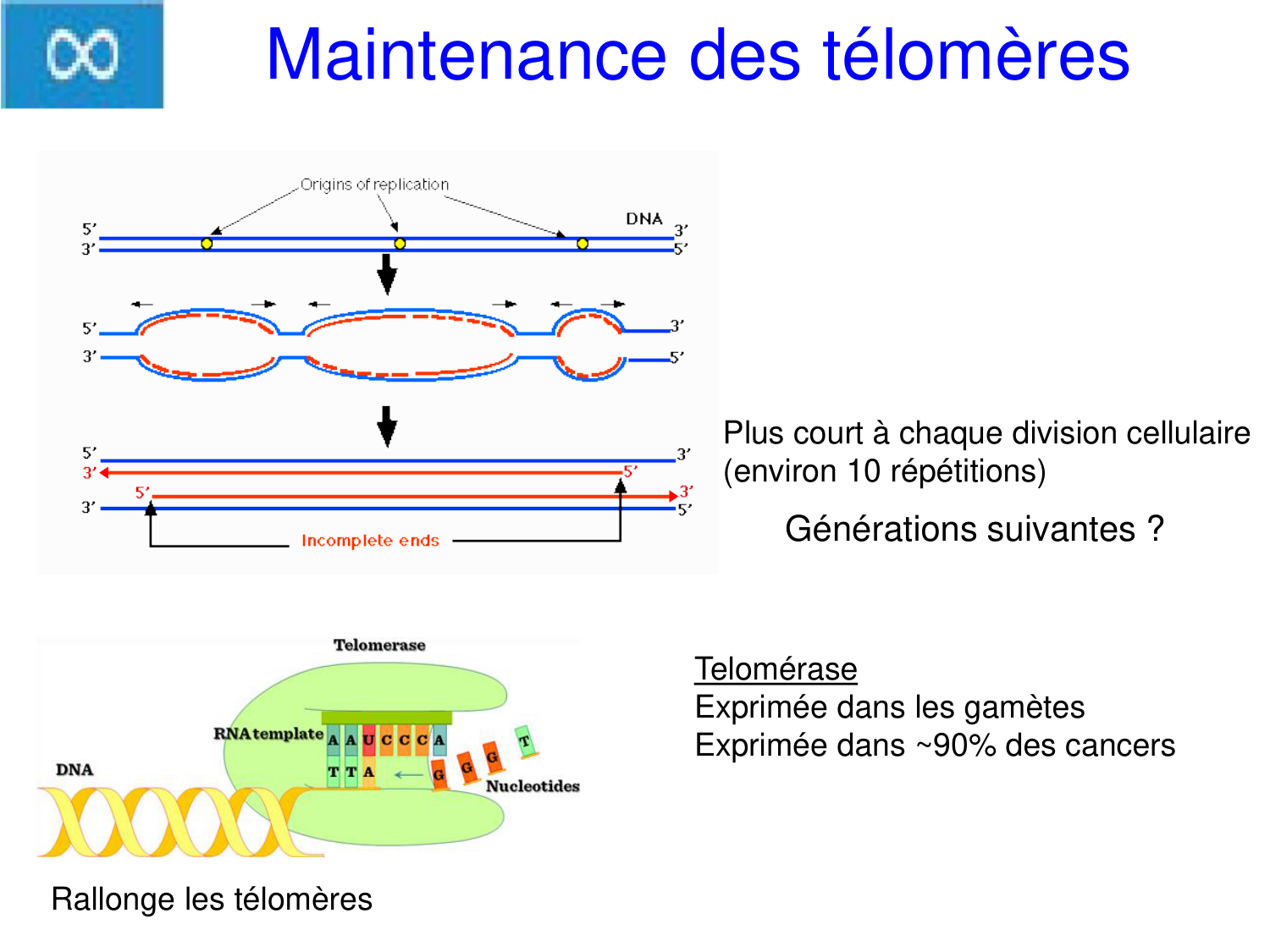 Oncogénétique page 9
