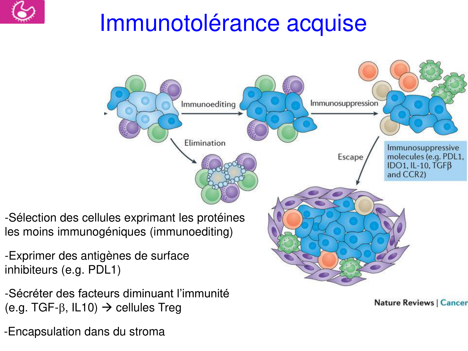 Oncogénétique page 15