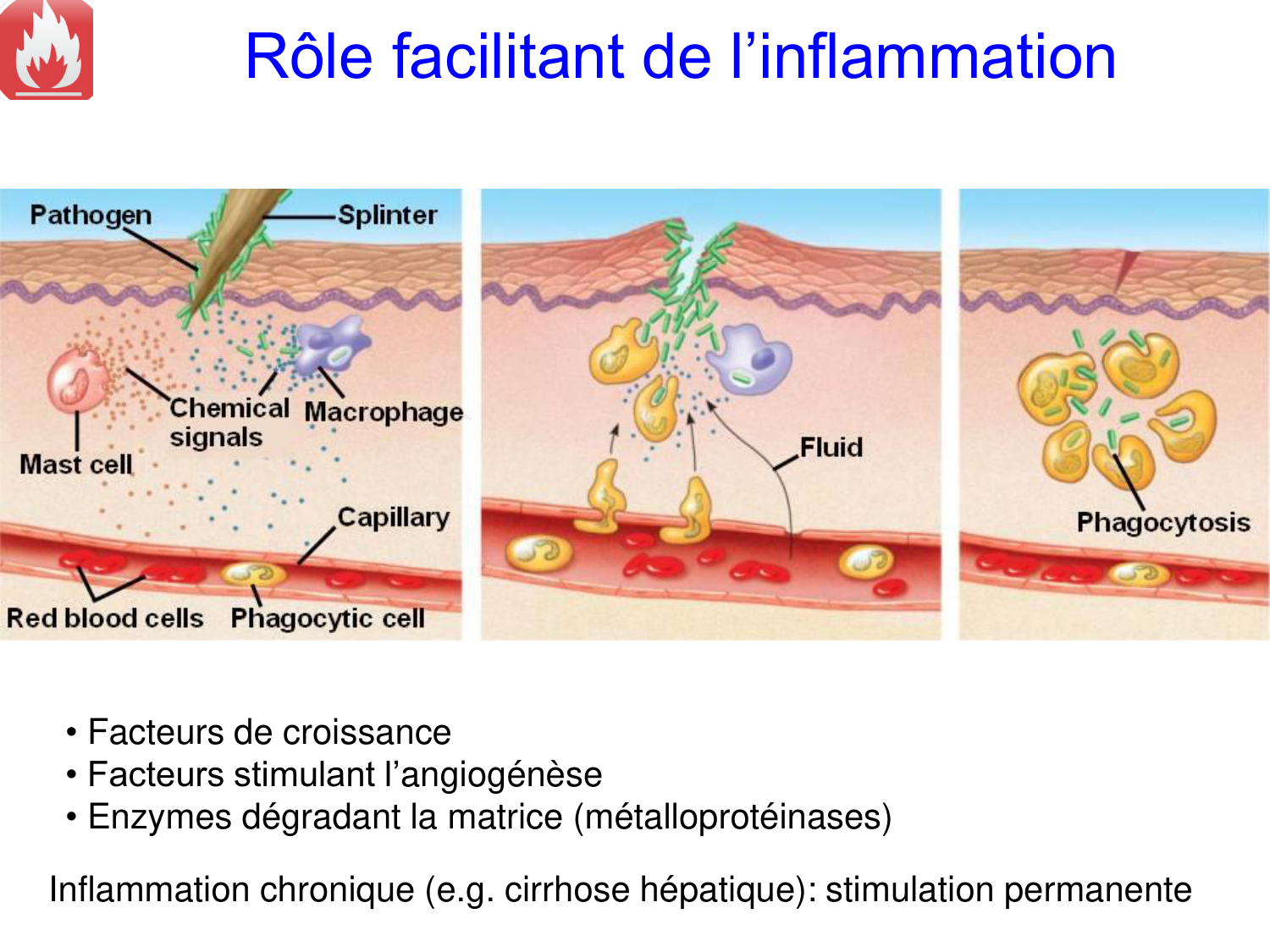Oncogénétique page 16