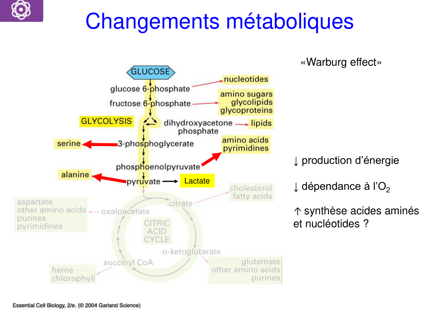 Oncogénétique page 17
