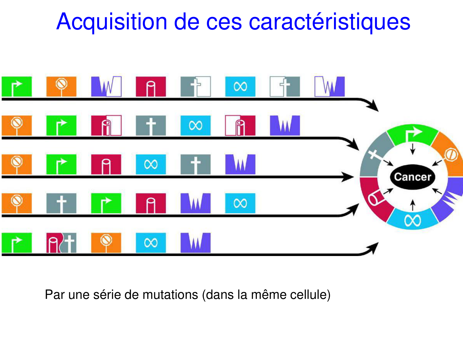 Oncogénétique page 18