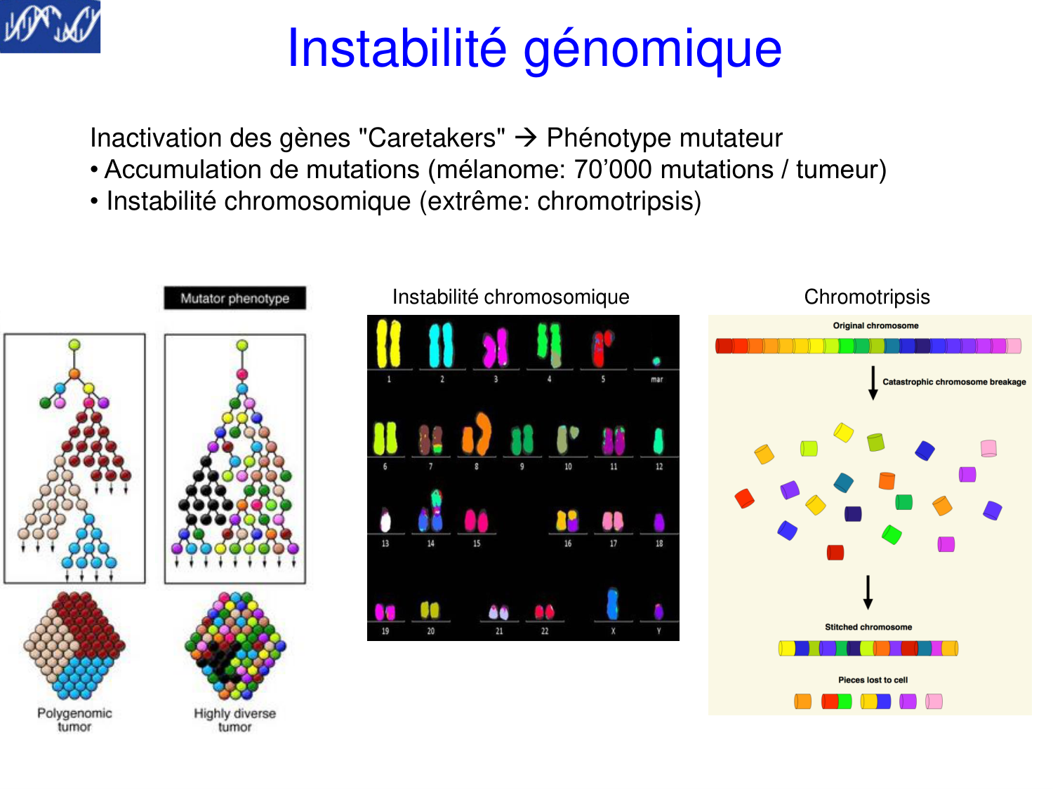 Oncogénétique page 20