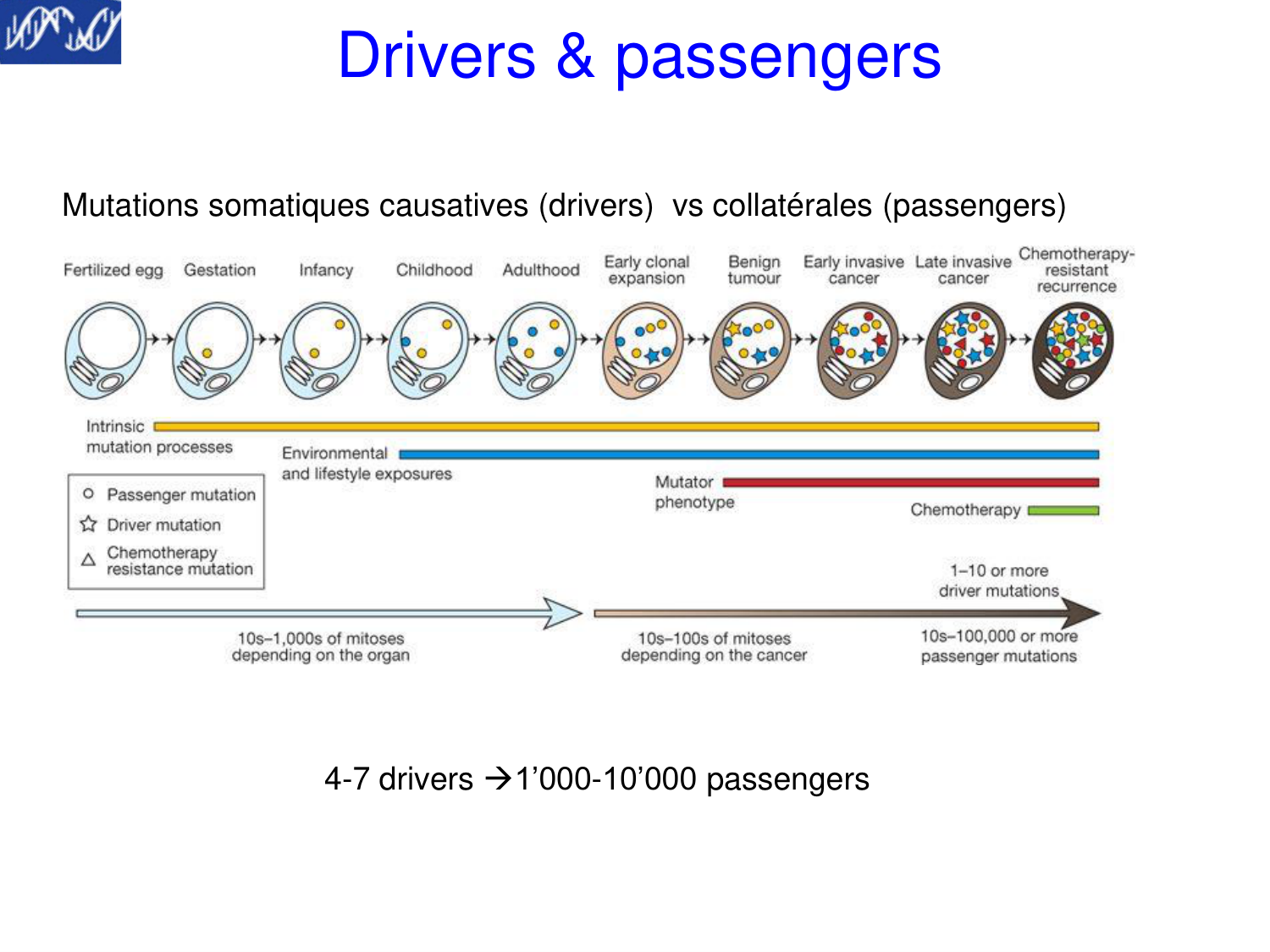 Oncogénétique page 21