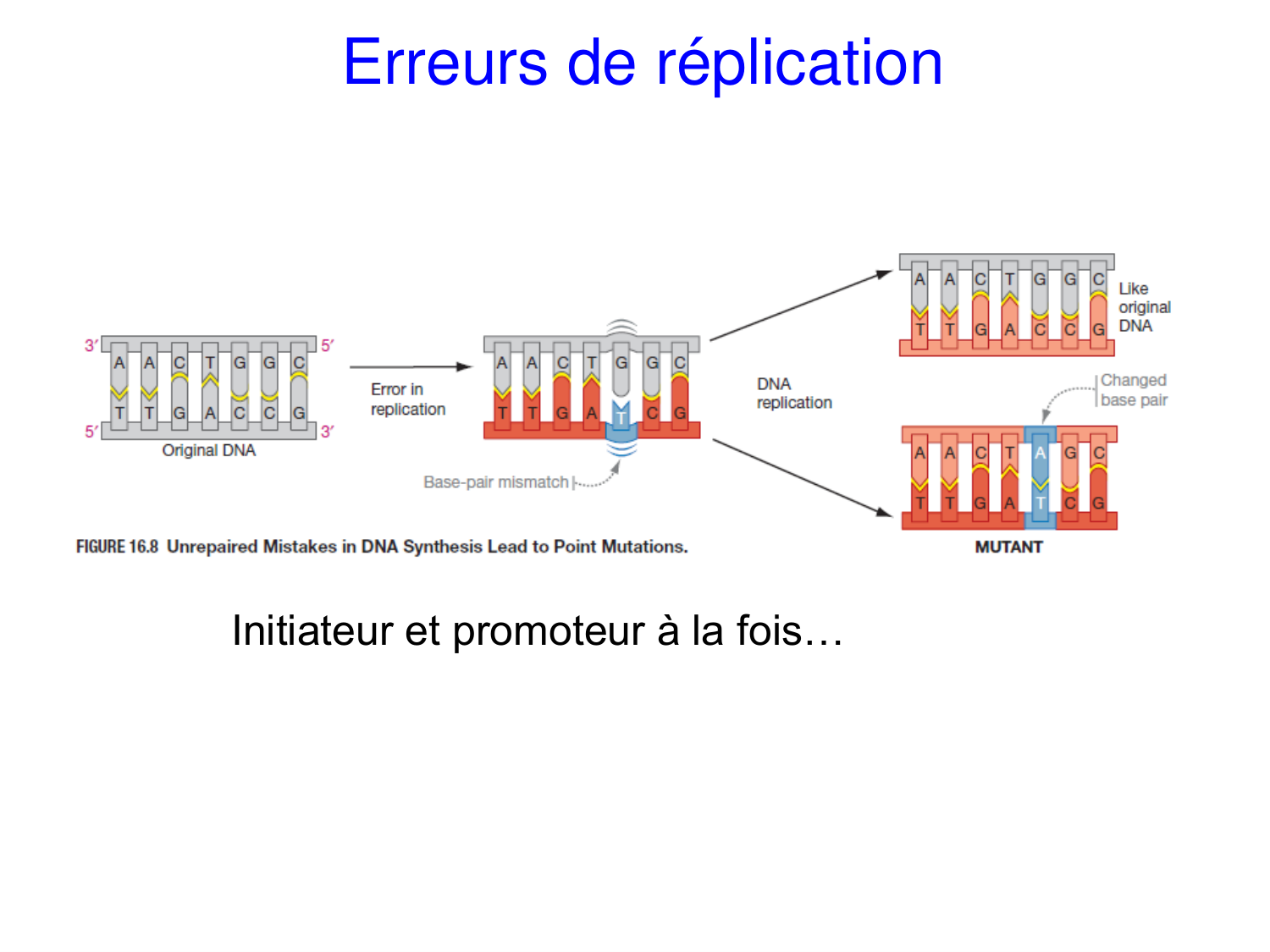 Oncogénétique page 23