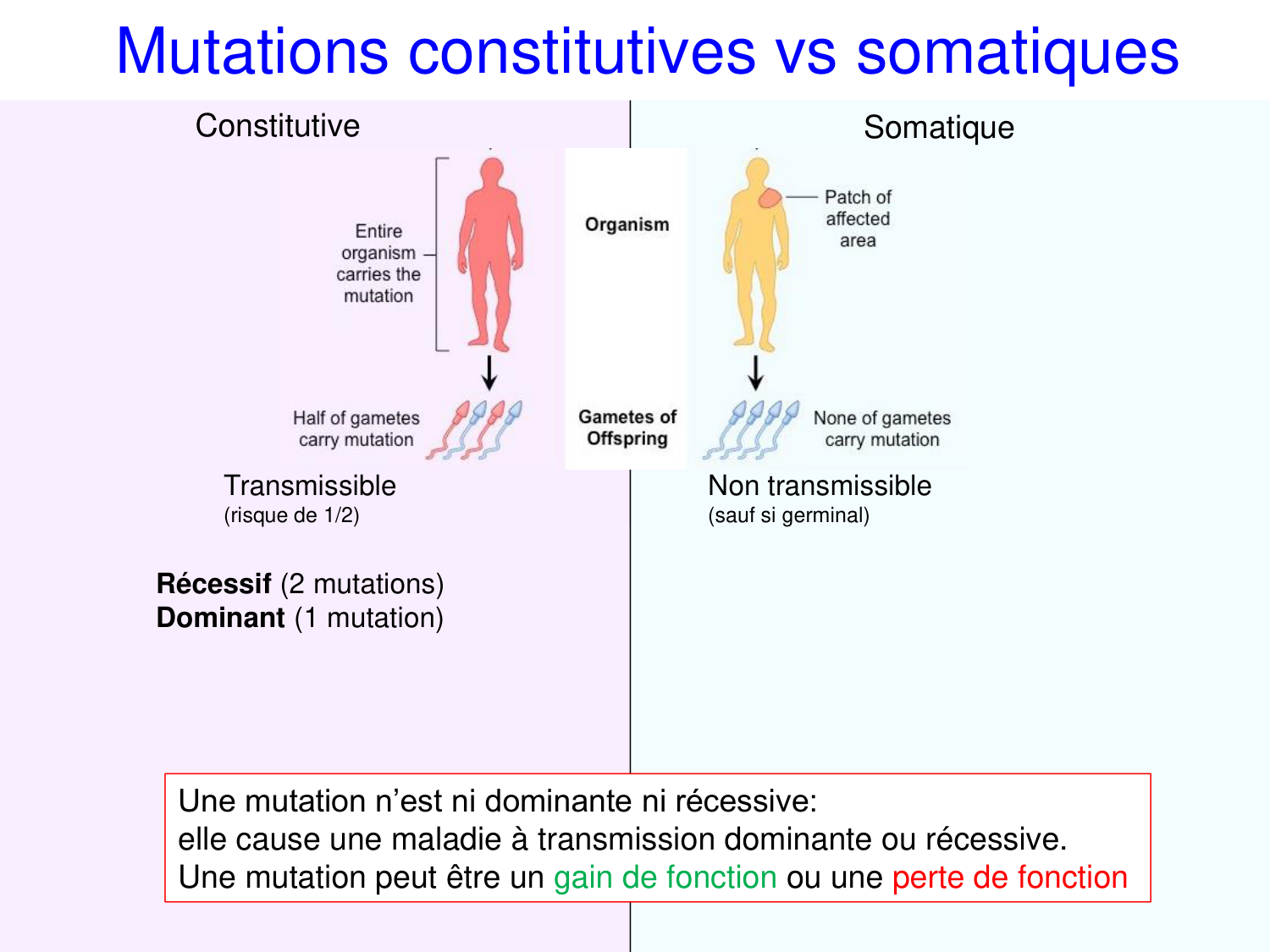 Oncogénétique page 35