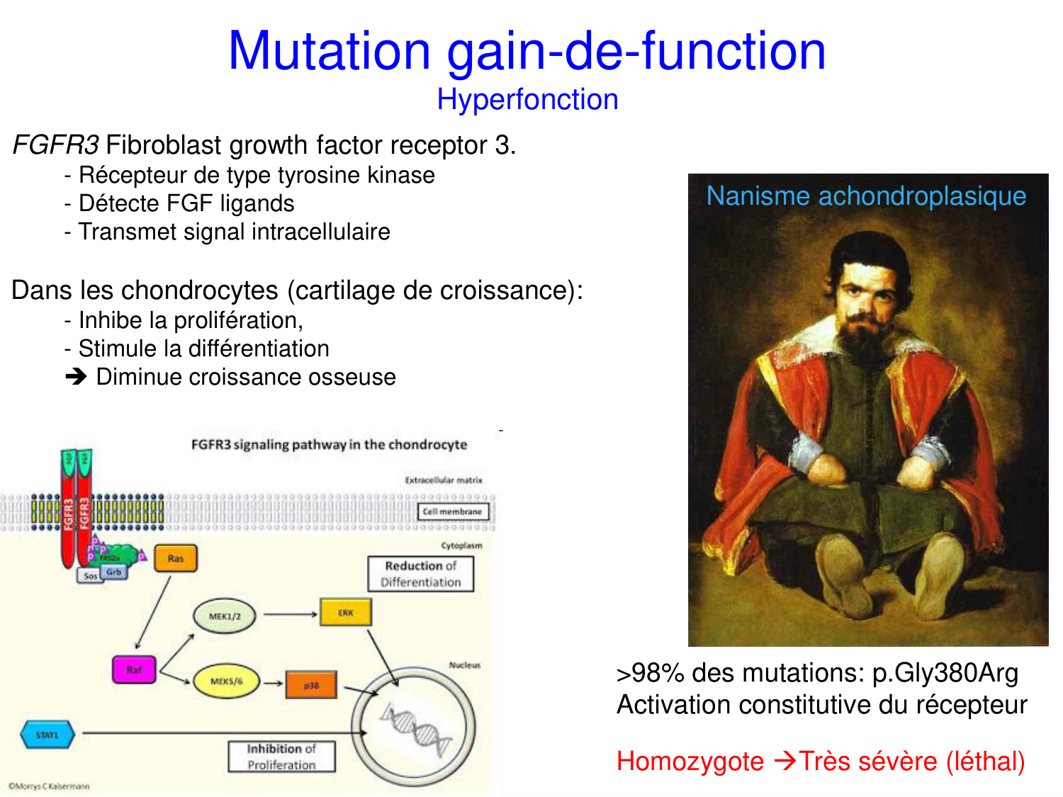 Oncogénétique page 40