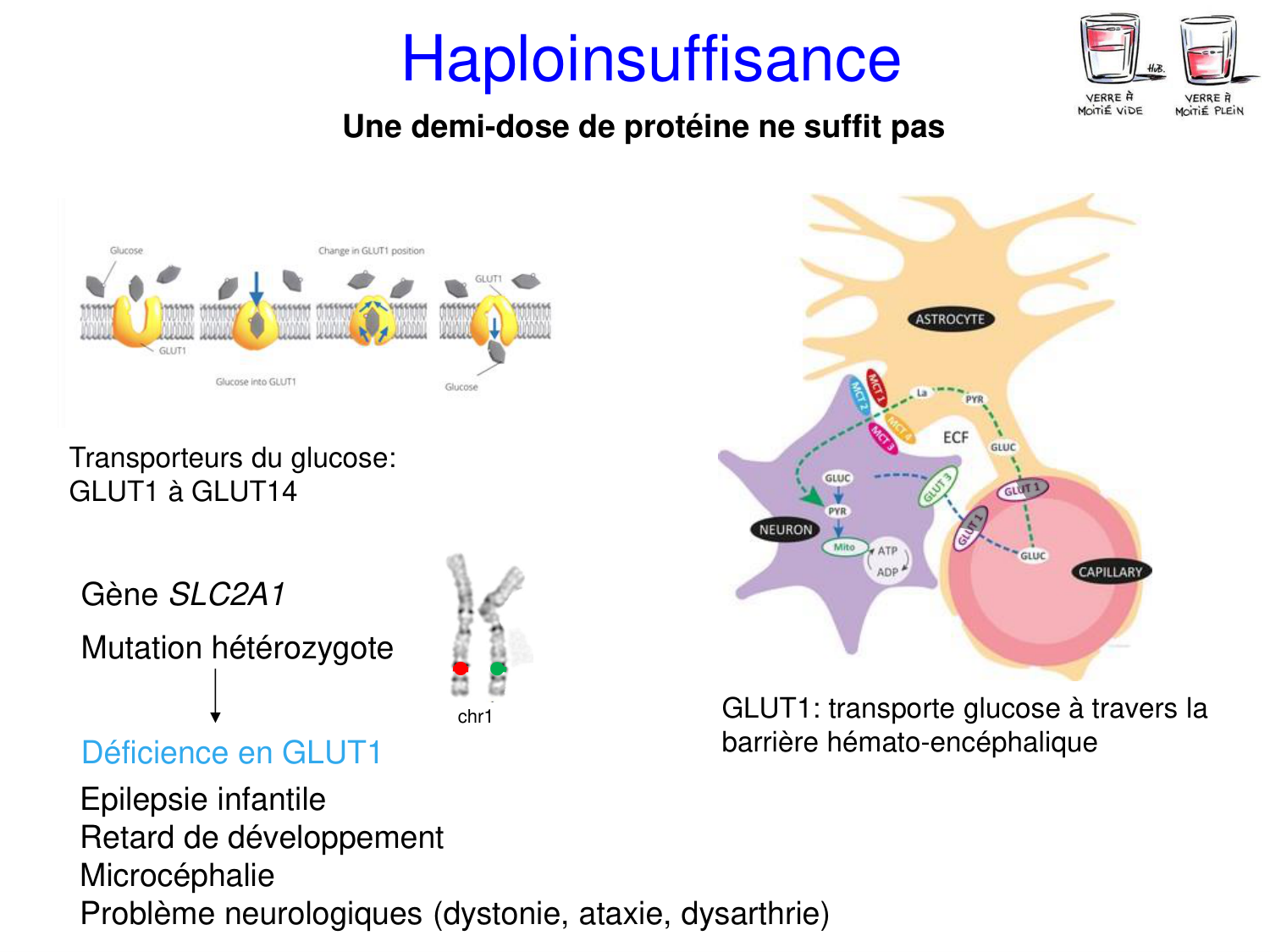 Oncogénétique page 44
