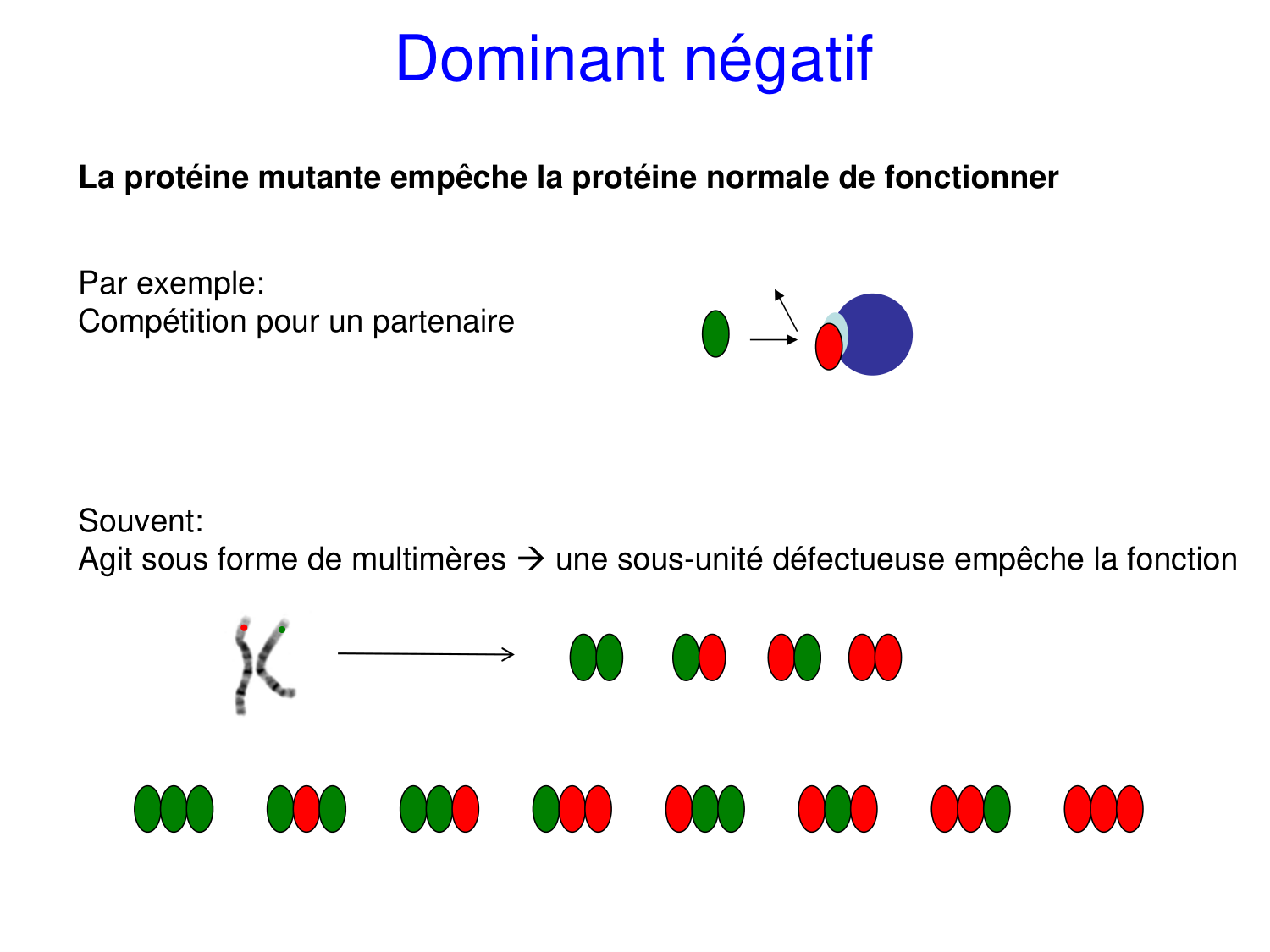 Oncogénétique page 46