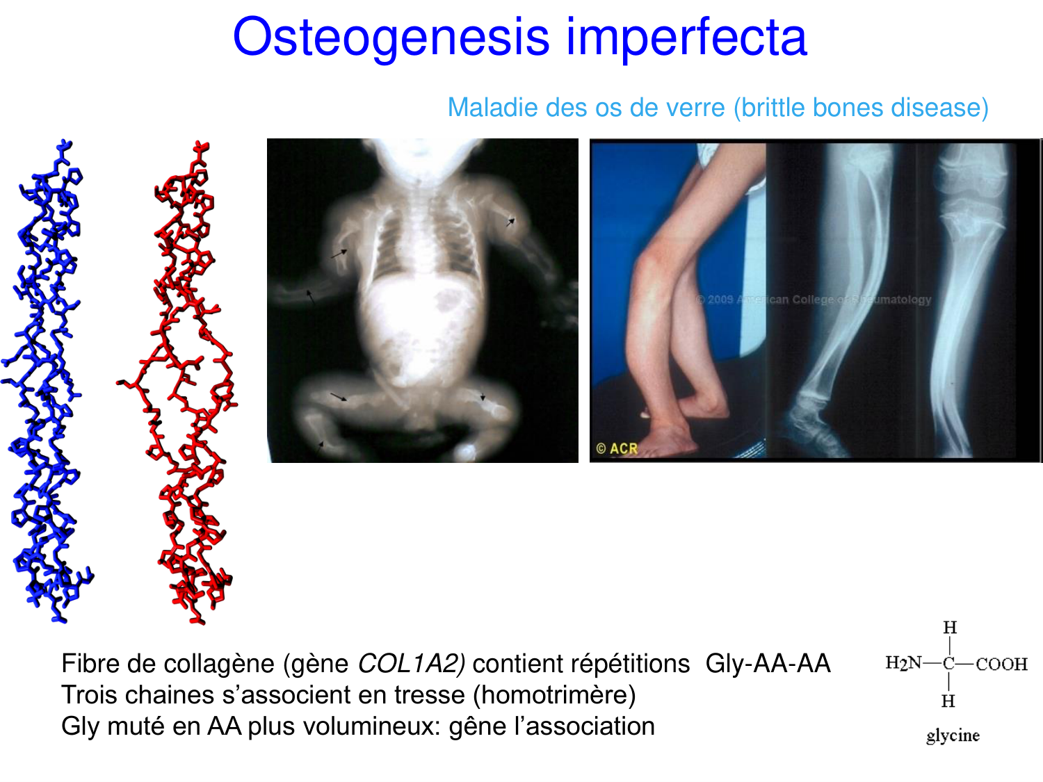 Oncogénétique page 47