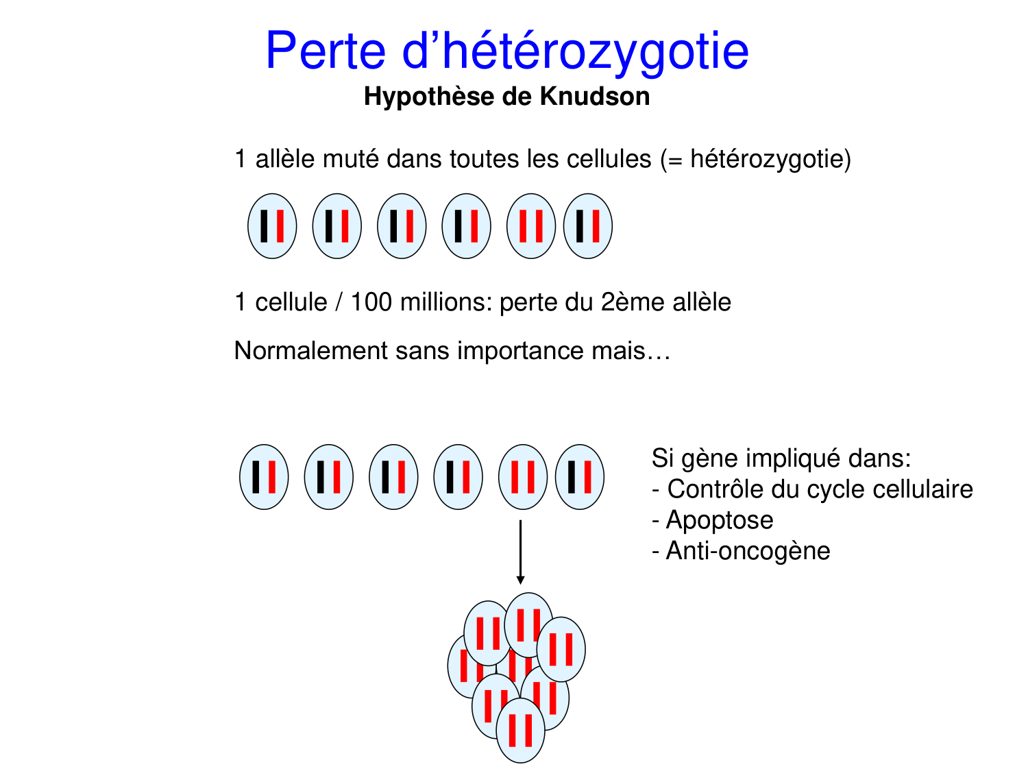 Oncogénétique page 49