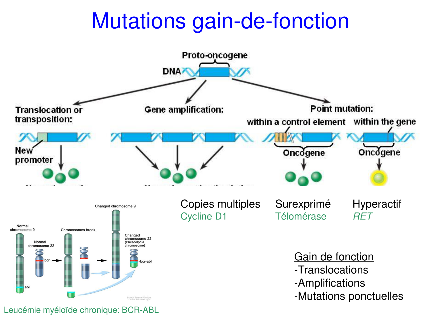 Oncogénétique page 52