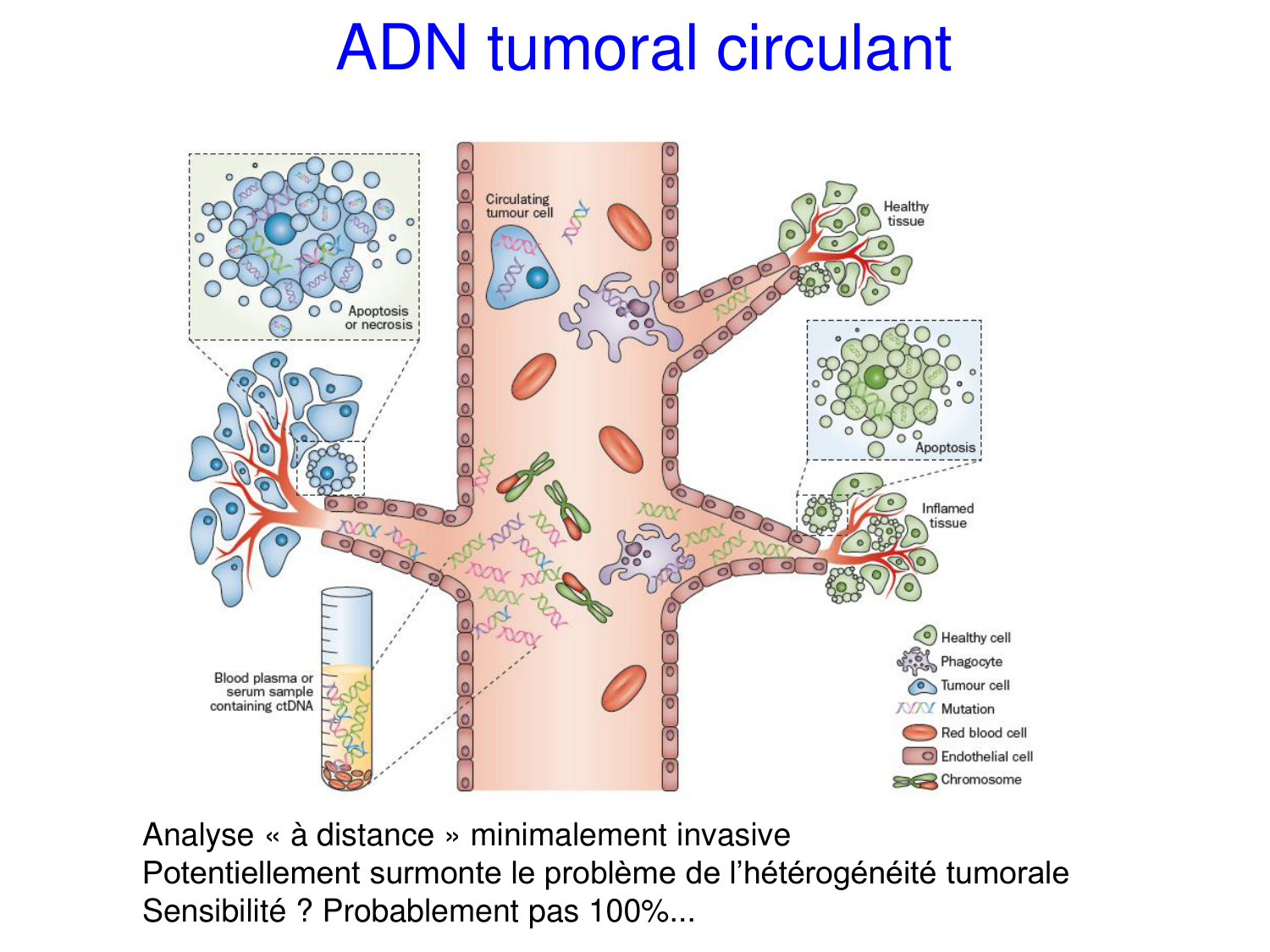 Oncogénétique page 61