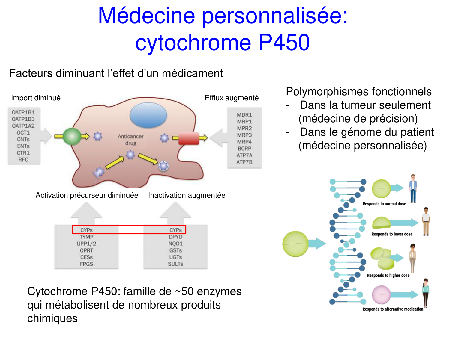 Oncogénétique page 62
