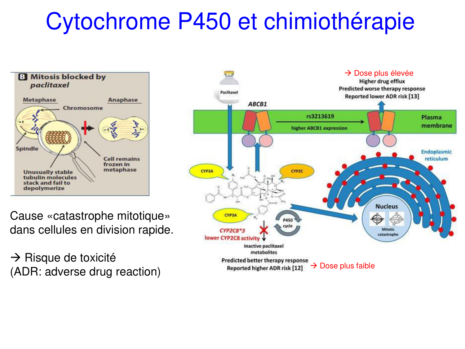 Oncogénétique page 63