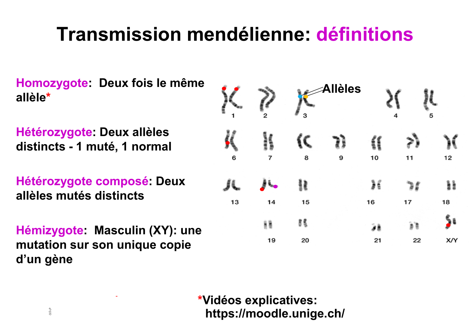 Hérédité I page 5