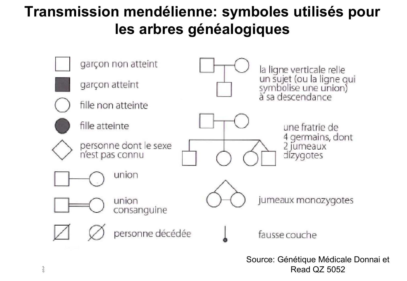 Hérédité I page 6