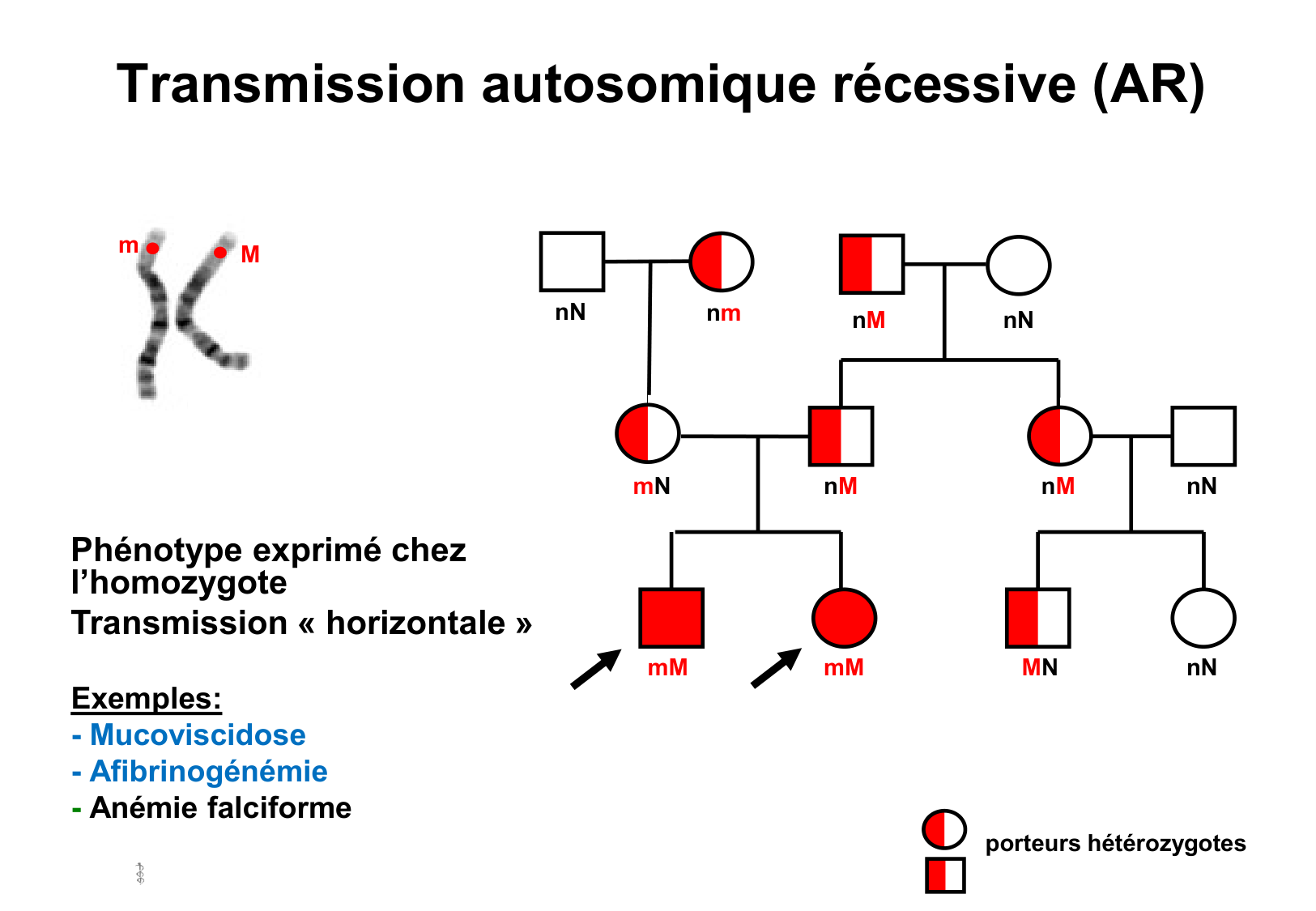 Hérédité I page 9
