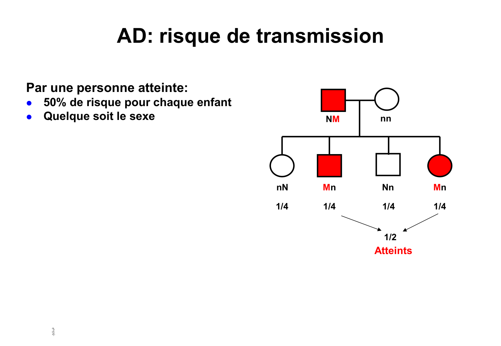 Hérédité I page 34