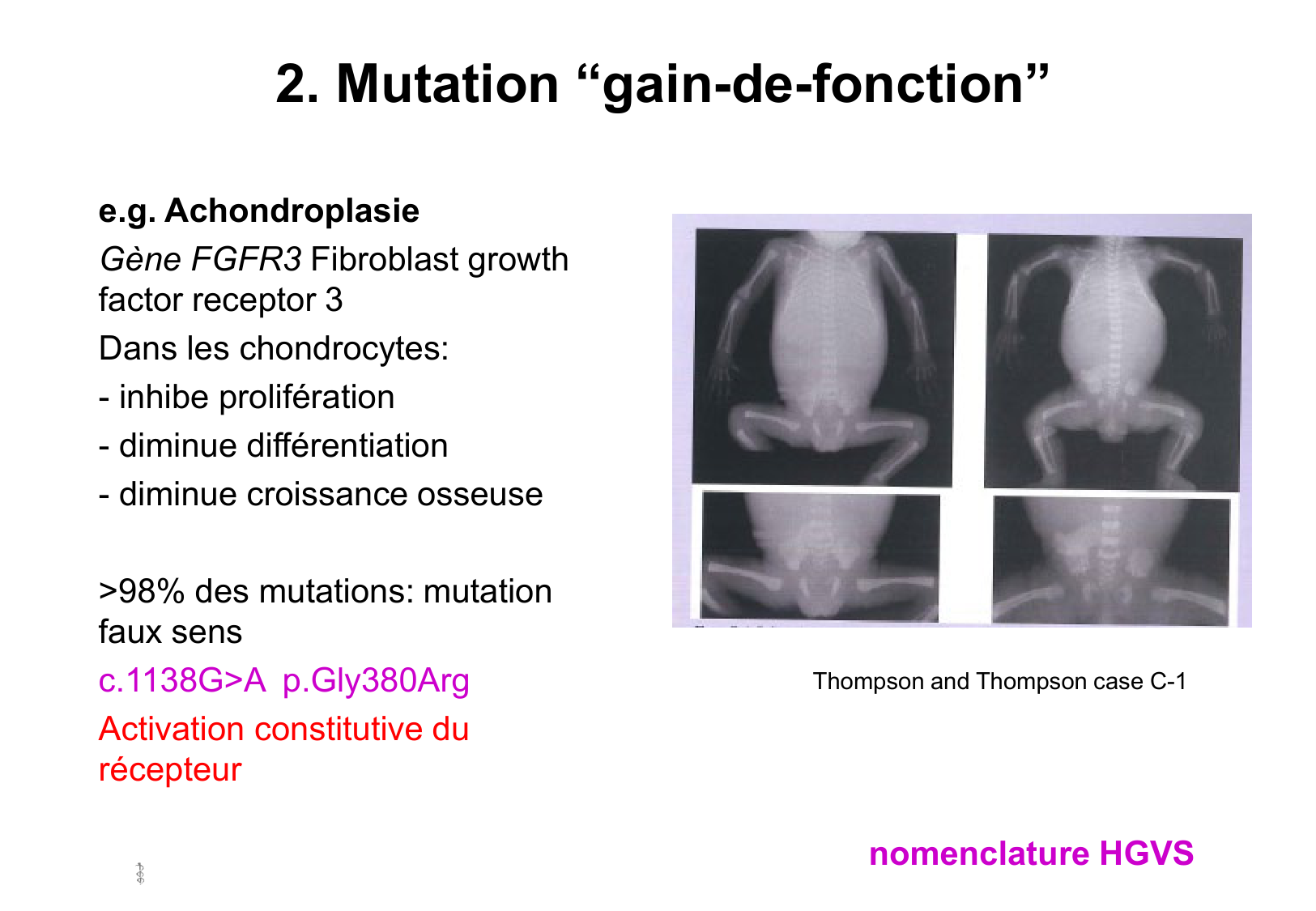 Hérédité I page 41